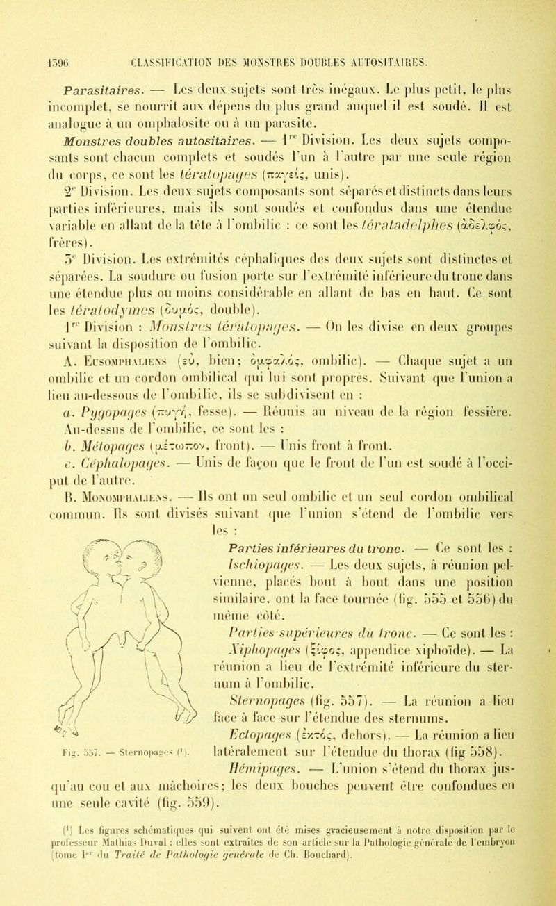 Parasitaires. — Les deux sujets sont très inégaux. Le plus petit, le plus incomplet, se nourrit aux dépens du plus grand auquel il est soudé. Il est analogue à un omphalosite ou à un parasite. Monstres doubles autositaires. — lre Division. Les deux sujets compo- sants sont chacun complets et soudés Lun à l’autre par une seule région du corps, ce sont les tératopages (7rayetç, unis). 2e Division. Les deux sujets composants sont séparés et distincts dans leurs parties inférieures, mais ils sont soudés et confondus dans une étendue variable en allant de la tète à l’ombilic : ce sont les tératadelphes (àosXcpoc, frères). 3e Division. Les extrémités céphaliques des deux sujets sont distinctes et séparées. La soudure ou fusion porte sur l’extrémité inférieure du tronc dans une étendue plus ou moins considérable en allant de bas en haut. Ce sont les tératodymes (ôupoç, double). lre Division : Monstres tératopages. — On les divise en deux groupes suivant la disposition de l’ombilic. A. Eusomphaliens (eù, bien; op.ça).6s;, ombilic). — Chaque sujet a un ombilic et un cordon ombilical qui lui sont propres. Suivant que l union a lieu au-dessous de l’ombilic, ils se subdivisent en : ci. Pygopages (Tiuy^, fesse). — Réunis au niveau de la région fessière. Au-dessus de l’ombilic, ce sont les : b. Métopages ([astto-ov, front). — Unis front à front. e. Céphalopages. — Unis de façon que le front de l’un est soudé à l’occi- put de l’autre. B. Monomphaliens. — Ils ont un seul ombilic et un seul cordon ombilical commun. Us sont divisés suivant que l’union s’étend de l’ombilic vers les : Parties inférieures du tronc. — Ce sont les : Ischiopages. — Les deux sujets, à réunion pel- vienne, placés bout à bout dans une position similaire, ont la face tournée (fig. 555 et 556) du même côté. Parties supérieures du tronc. — Ce sont les : Xiphopages ( qi'soç, appendice xiphoïde). — La réunion a lieu de l’extrémité inférieure du ster- num à l’ombilic. Sternopages (fig. 557). — La réunion a lieu face à face sur l’étendue des sternums. Ectopages (sxtoc, dehors). — La réunion a lieu latéralement sur F étendue du thorax (fig 558). Hémipages. — L’union s’étend du thorax jus- qu’au cou et aux mâchoires; les deux bouches peuvent être confondues en une seule cavité (fig. 559). P) Les figures schématiques qui suivent ont été mises gracieusement à notre disposition par le professeur Mathias Duval : elles sont extraites de son article sur la Pathologie générale de l’embryon (tome Ie1' du Traité de Pathologie generale de Ch. Bouchard).