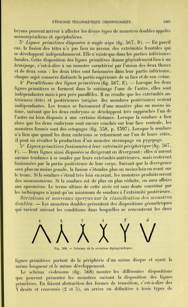 bryons peuvent arriver à affecter les divers types de monstres doubles appelés monocéphaliens et sycéphaliens. 5° Lignes primitives disposées à angle aigu (fig. 567, D). — En pareil cas, la fusion des têtes n’a pas lieu au niveau des extrémités frontales qui se développent indépendamment. Elle n’existe que dans les parties inférieures basales. Cette disposition des lignes primitives donne généralement lieu à un hémipage, c’est-à-dire à un monstre caractérisé par l’union des deux thorax et de deux cous : les deux têtes sont fusionnées dans leur partie inférieure, chaque sujet conserve distincte la partie supérieure de sa face et de son crâne. 4° Parallélisme des lignes primitives (fig. 567, E).— Lorsque les deux lignes primitives se forment dans le voisinage l’une de l’autre, elles sont indépendantes mais à peu près parallèles. U en résulte que les extrémités an- térieures (tête) et postérieures (origine des membres postérieurs) restent indépendantes. Les troncs se fusionnent d’une manière plus ou moins in- time, suivant que les deux embryons se développent très rapprochés l’un de l’autre ou bien disposés à une certaine distance. Lorsque la soudure a lieu alors que les deux embryons sont encore couchés sur leur face ventrale, les monstres formés sont des ectopages (fig. 558, p. 1397). Lorsque la soudure n’a lieu que quand les deux embryons se retournent sur l’un de leurs côtés, il peut en résulter la production d’un monstre sternopage ou pygopage. 5° Lignes primitives fusionnées à leur extrémité périphérique (fig. 567, F). — Deux lignes ainsi disposées se dirigeront en divergeant; elles n’auront aucune tendance à se souder par leurs extrémités antérieures, mais resteront fusionnées par la partie postérieure de leur corps. Suivant que la divergence sera plus ou moins grande, la fusion s’étendra plus ou moins loin en avant sur le tronc. Si la soudure s’étend très loin en avant, les monstres produits seront des monosomiens. Si la soudure est de plus en plus réduite, on aura affaire aux sysomiens. Le terme ultime de cette série est sans doute constitué par les ischiopages n’ayant qu’un minimum de soudure à l’extrémité postérieure. Sériations et nouveaux aperçus sur la classification des monstres doubles. — Les monstres doubles présentent des dispositions géométriques qui varient suivant les conditions dans lesquelles se rencontrent les deux 1 % 3 4 5> G AA A X Y V Fig, 568. — Schéma de la sériation diplogénétique.. lignes primitives partant de la périphérie d’un même disque et ayant la même longueur et le même développement. Le schéma ci-dessous (fig. 568) montre les différentes dispositions que peuvent présenter les monstres suivant la disposition des lignes primitives. En faisant abstraction des formes de transition, c’est-à-dire des Y droits et renversés (2 et 5), on arrive en définitive à trois types de