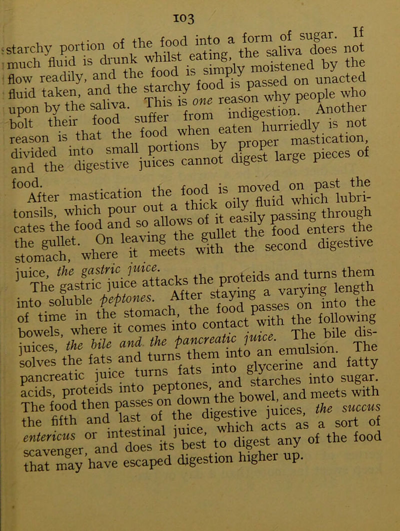 starchy portion n“ much fluid is drunk whilst eating moistened by the flow readily, an starchy food is passed on unacted fluid taken, and the stare y p h people who upon by the saliva. This none reason* yp bolt their food -fie j--Jenghurnedly is not reason is that the tooa nr0Der mastication, iS .5 ** »■ »»*.?■» t.SttdiTJS-MS’US tonsils, which pour ou easily passing through cates the food and so allows ofrt easily pas^ the »h» “it, with th, «™a .t?—th,...« S‘,s: <S-S solves the fats and^ turns them ^ jne and fatty pancreatic juice turn. j starches into sugar, acids, proteids into Pept,on ' th bowel and meets with '*‘i “ ?? “”y ll ‘°°'1 that may’have escaped digestion higher up.
