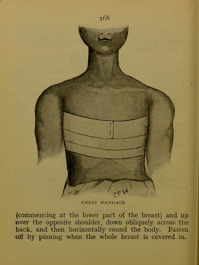 CHEST BANDAGE (commencing at the lower part of the breast) and up over the opposite shoulder, down obliquely across the back, and then horizontally round the body. Fasten off by pinning when the whole breast is covered in.