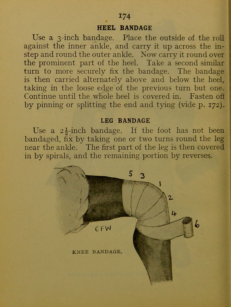 Use a 3-inch bandage. Place the outside of the roll against the inner ankle, and carry it up across the in- step and round the outer ankle. Now carry it round over the prominent part of the heel. Take a second similar turn to more securely fix the bandage. The bandage is then carried alternately above and below the heel, taking in the loose edge of the previous turn but one. Continue until the whole heel is covered in. Fasten off | by pinning or splitting the end and tying (vide p. 172). LEG BANDAGE Use a 2^-inch bandage. If the foot has not been bandaged, fix by taking one or two turns round the leg near the ankle. The first part of the leg is then covered in by spirals, and the remaining portion by reverses.