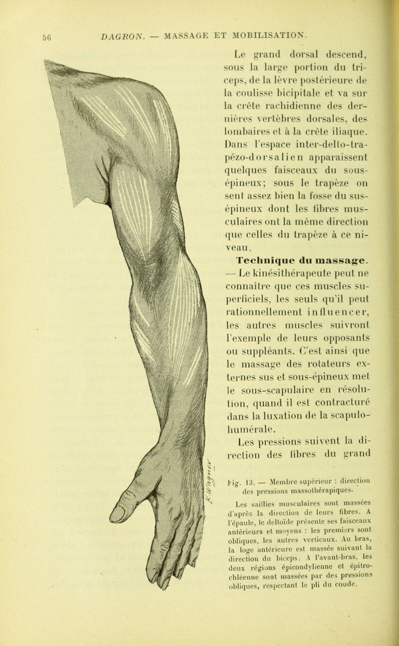 Le grand dorsal descend, sous la lai-ge portion du tri- ceps, de la lèvre [>ostérieure de la coulisse bicijVitale et va sur la crête rachidienne des der- nières vertèbies dorsales, des lombaires et à la cr'ète iliaque. Dans l’espace inter-delto-tra- l)ézo-dorsalien apparaissent quel(|ues faisceaux du sous- épineux; sous le trapèze on sent assez bien la fosse du sus- épineux dont les libres mus- culaires ont la même direction ([lie celles du trapèze à ce ni- veau. Technique du luassag^e. — Le kinésithérapeute peut ne connaître que ces muscles su- periiciels, les seuls ([u’il peut rationnellement i n il u e n c e r, les autres muscles suivront l’exemple de leurs opposants ou sup|déants. (i’est ainsi que le massage des rotateurs ex- ternes sus et sous-épineux met le sous-scapulaire en résolu- tion, ([uand il est contracturé dans la luxation de la scapulo- bumérale. Les pressions suivent la di- rection des libres du grand 13. — Membre sui)érieur : direction des pressions massotbérapiques. Les saillies musculaires sont massées d’après la direction de leurs fibres. A l’épaule, le dello’ide présente ses faisceaux antérieurs et moyens : les premiers sont obliques, les autres verticau.x. Au bras, la loge antérieure est massée suivant la direction du biceps. A l’avant-bras, les deux régions épicondylienne et épitro- chléenne sont massées par des pressions obliques, respectant le pli du coude.