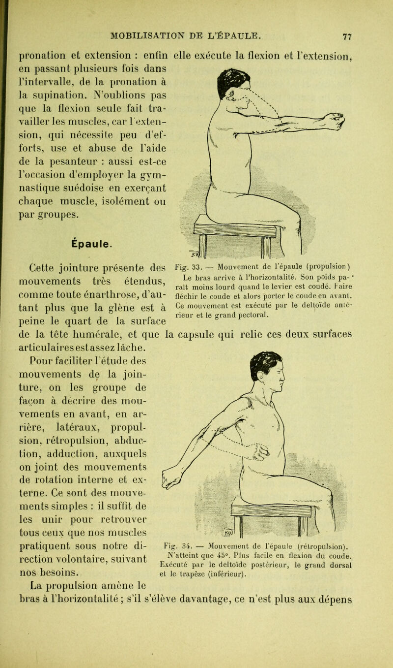 Épaule. pronation et extension : enfin elle exécute la flexion et l’extension, en passant plusieurs fois dans l’intervalle, de la pronation à la supination. N’oublions pas que la flexion seule fait tra- vailler les muscles, car l'exten- sion, qui nécessite peu d’ef- forts, use et abuse de l’aide de la pesanteur : aussi est-ce l’occasion d’employer la gym- nastique suédoise en exerçant chaque muscle, isolément ou par groupes. Cette jointure présente des Fig. 33.— Mouvement de lepaule (propulsion) mouvements très étendus, ^ l’homontaiiié. Son poids pa- • ' rait moins lourd quand le levier est coude, raire comme toute enarthrose, d au- fléchir le coude et alors porter le coude en avant, tant plus que la glène est à mouvement est exécuté par le deltoïde anle- , < 1 « n rieur et le grand pectoral. peine le quart de la surlace de la tête humérale, et que la capsule qui relie ces deux surfaces articulaires estassez lâche. Pour faciliter l’étude des mouvements de la join- ture, on les groupe de façon à décrire des mou- vements en avant, en ar- rière, latéraux, propul- sion, rétropulsion, abduc- tion, adduction, auxquels on joint des mouvements de rotation interne et ex- terne. Ce sont des mouve- ments simples : il suffit de les unir pour retrouver tous ceux que nos muscles pratiquent sous notre di- rection volontaire, suivant nos besoins. La propulsion amène le bras à l’horizontalité ; s’il s’élève davantage, ce n’est plus aux dépens Fig. 34. — Mouvement de l’épaule (rélropulbion). N’atteint que 4o“. Plus facile en flexion du coude. Exécuté par le delto'ide postérieur, le grand dorsal et le trapèze (inférieur).