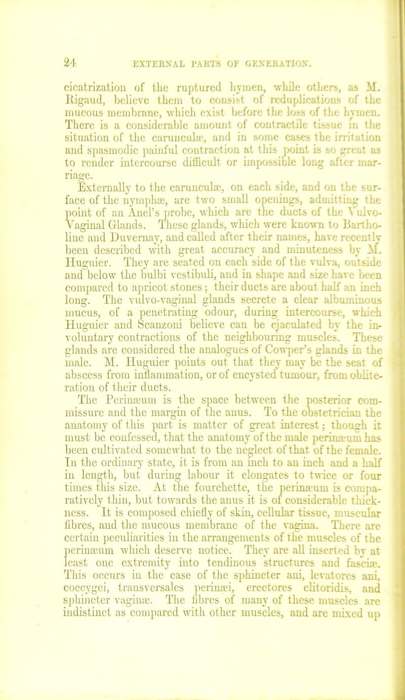 cicatrization of the ruptured hymen, while others, as M. ltigaud, believe them to consist of reduplications of the mucous membrane, which exist before the loss of the hymen. There is a considerable amount of contractile tissue m the situation of the caruncuhe, and in some cases the irritation and spasmodic painful contraction at this point is so great as to render intercourse difficult or impossible long after mar- riage. Externally to the caruncuhe, on each side, and on the sur- face of the nymphse, are two small openings, admitting the point of an Ariel’s probe, which are the ducts of the Vulvo- vaginal Glands. These glands, which were known to Bartho- line and Duvernay, and called after their names, have recently been described with great accuracy and minuteness by M. Huguier. They are seated on each side of the vulva, outside and below the bulbi vestibuli, and in shape and size have been compared to apricot stones; their ducts are about half an inch long. The vulvo-vaginal glands secrete a clear albuminous mucus, of a penetrating odour, during intercourse, which Huguier and Scanzoni believe can be ejaculated by the in- voluntary contractions of the neighbouring muscles. These glands are considered the analogues of Cowper’s glands in the male. M. Huguier points out that they may be the seat of abscess from inflammation, or of encysted tumour, from oblite- ration of their ducts. The Perinseum is the space between the posterior com- missure and the margin of the anus. To the obstetrician the anatomy of this part is matter of great interest; though it must be confessed, that the anatomy of the male perimeum has been cultivated somewhat to the neglect of that of the female. In the ordinary state, it is from an inch to an inch and a half in length, but during labour it elongates to twice or four times this size. At the fourcliette, the perimeum is compa- ratively thin, but towards the anus it is of considerable thick- ness. It is composed chiefly of skin, cellular tissue, muscular fibres, and the mucous membrane of the vagina. There are certain peculiarities in the arrangements of the muscles of the perinceum which deserve notice. They are all inserted by at least one extremity into tendinous structures and fasciae. This occurs in the ease of the sphincter ani, levatores ani, coccygei, transversales perinan, erectores clitoridis, and sphincter vagina;. The fibres of many of these muscles are indistinct as compared with other muscles, and are mixed up