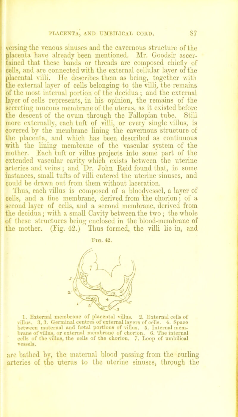 versing the venous sinuses and the cavernous structure of the placenta have already been mentioned. Mr. Goodsir ascer- tained that these bands or threads are composed chiefly of cells, and are connected with the external cellular layer of the placental villi. He describes them as being, together with the external layer of cells belonging to the villi, the remains of the most internal portion of the decidua; and the external layer of cells represents, in his opinion, the remains of the secreting mucous membrane of the uterus, as it existed before ' the descent of the ovum through the Fallopian tube. Still more externally, each tuft of villi, or every single villus, is covered by the membrane lining the cavernous structure of the placenta, and which has been described as continuous with the lining membrane of the vascular system of the mother. Each tuft or villus projects into some part of the extended vascular cavity which exists between the uterine arteries and veins ; and Dr. John Reid found that, in some i instances, small tufts of villi entered the uterine sinuses, and could be drawn out from them without laceration. Thus, each villus is composed of a bloodvessel, a layer of cells, and a fine membrane, derived from Hie chorion; of a second layer of cells, and a second membrane, derived from the decidua; with a small Cavity between the two; the whole of these structures being enclosed in the blood-membrane of the mother. (Tig. 42.) Thus formed, the villi lie in, and 1. External membrane of placental villus. 2. External cells of villus. 3, 3. Germinal centres of external layers of cells. 4. Space between maternal and foetal portions of viflus. 5. Internal mem- cells of the villus, the cells of the chorion. 7. Loop of umbilical vessels. are bathed by, the maternal blood passing from the curling arteries of the uterus to the uterine sinuses, through the Fig. 42.