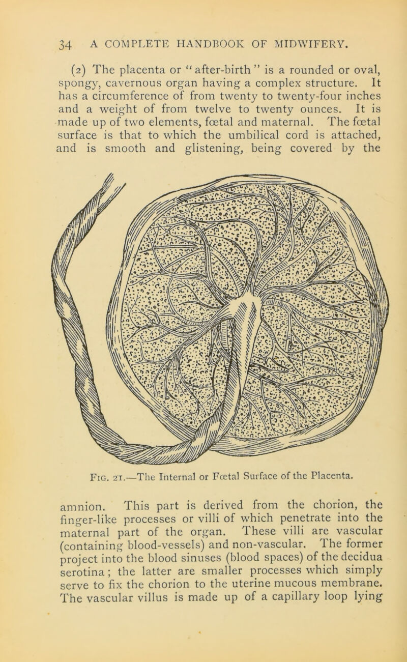 (2) The placenta or “after-birth ” is a rounded or oval, spongy, cavernous organ having a complex structure. It has a circumference of from twenty to twenty-four inches and a weight of from twelve to twenty ounces. It is made up of two elements, foetal and maternal. The foetal surface is that to which the umbilical cord is attached, and is smooth and glistening, being covered by the amnion. This part is derived from the chorion, the finger-like processes or villi of which penetrate into the maternal part of the organ. These villi are vascular (containing blood-vessels) and non-vascular. The former project into the blood sinuses (blood spaces) of the decidua serotina; the latter are smaller processes which simply serve to fix the chorion to the uterine mucous membrane. The vascular villus is made up of a capillary loop lying
