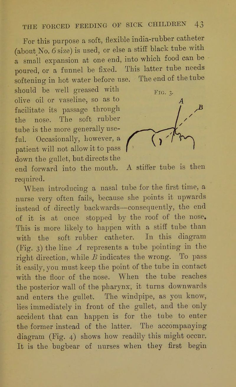For this purpose a soft, flexible india-rubber catheter (about No. 6 size) is used, or else a stiff black tube with a small expansion at one end, into which food can be poured, or a funnel be fixed. This latter tube needs softening in hot water before use. The end of the tube should be well greased with olive oil or vaseline, so as to facilitate its passage through the nose. The soft rubber tube is the more generally use- ful. Occasionally, however, a patient will not allow it to pass down the gullet, but directs the end forward into the mouth, required. When introducing a nasal tube for the first time, a nurse very often fails, because she points it upwards instead of directly backwards—consequently, the end A stiffer tube is then of it is at once stopped by the roof of the nose. This is more likely to happen with a stiff tube than with the soft rubber catheter. In this diagram (Fig. 3) the line A represents a tube pointing in the right direction, while B indicates the wrong. To pass it easily, you must keep the point of the tube in contact with the floor of the nose. When the tube reaches the posterior wall of the pharynx, it turns downwards and enters the gullet. The windpipe, as you know, lies immediately in front of the gullet, and the only accident that can happen is for the tube to enter the former instead of the latter. The accompanying diagram (Fig. 4) shows how readily this might occur. It is the bugbear of nurses when they first begin