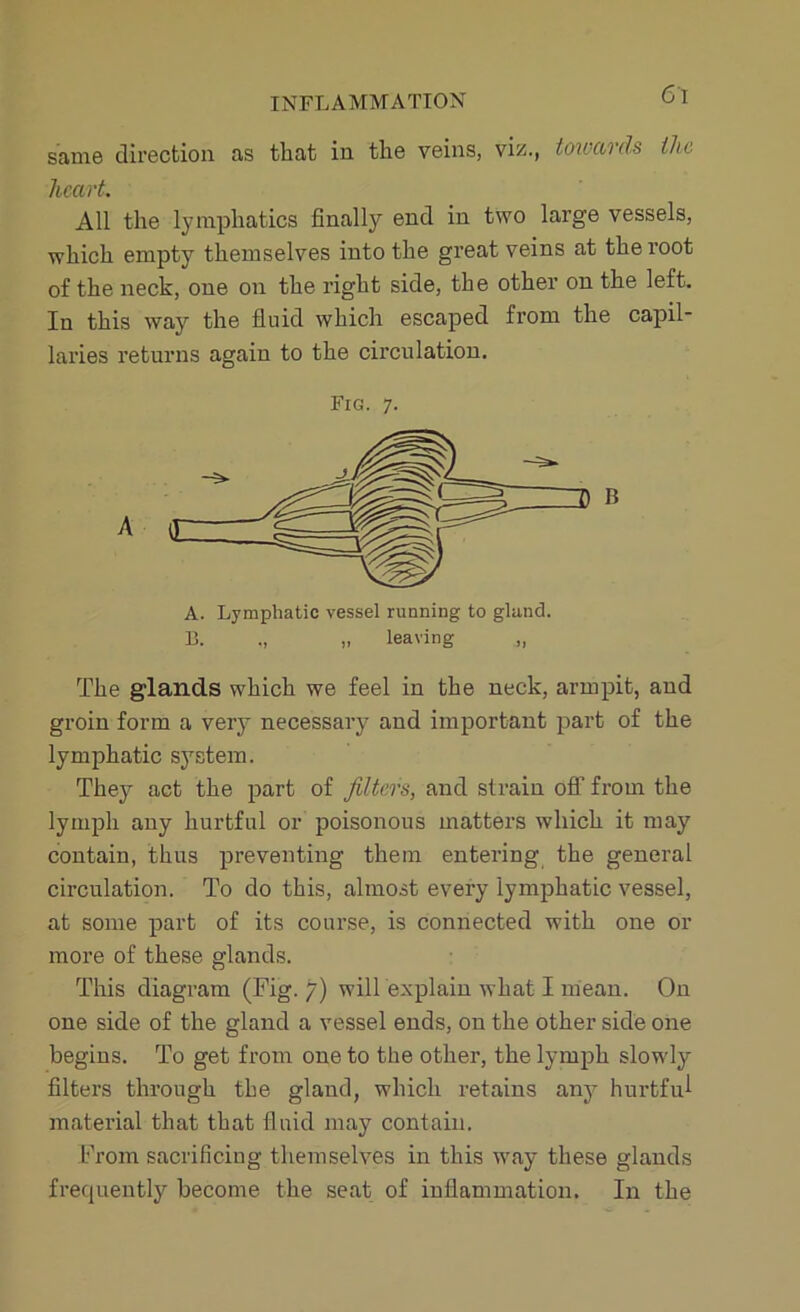 same direction as that in the veins, viz., towards the heart. All the lymphatics finally end in two large vessels, which empty themselves into the great veins at the root of the neck, one on the right side, the other on the left. In this way the fluid which escaped from the capil- laries returns again to the circulation. Fig. 7. B A. Lymphatic vessel running to gland. 13. ., „ leaving „ The glands which we feel in the neck, armpit, and groin form a very necessary and important part of the lymphatic system. They act the part of filters, and strain off from the lymph any hurtful or poisonous matters which it may contain, thus preventing them entering the general circulation. To do this, almost every lymphatic vessel, at some part of its course, is connected with one or more of these glands. This diagram (Fig. 7) will explain what I mean. On one side of the gland a vessel ends, on the other side one begins. To get from one to the other, the lymph slowly filters through the gland, which retains any hurtful material that that fluid may contain. From sacrificing themselves in this way these glands frequently become the seat of inflammation. In the