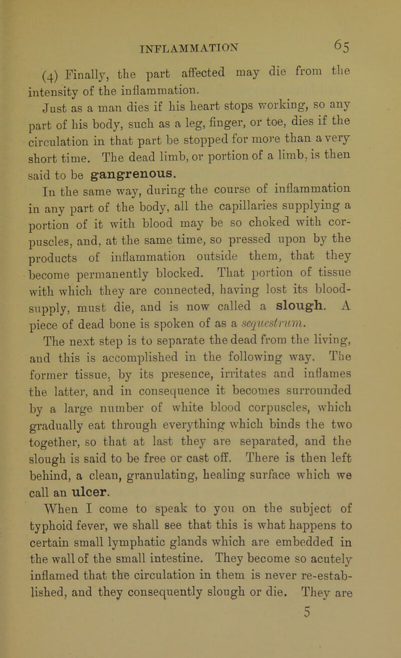 (4) Finally, the part affected may die from the intensity of the inflammation. Just as a man dies if his heart stops working, so any part of his body, such as a leg, finger, or toe, dies if the circulation in that part be stopped for more than a very short time. The dead limb, or portion of a limb, is then said to be gangrenous. In the same way, during the course of inflammation in any part of the body, all the capillaries supplying a portion of it with blood may be so choked with cor- puscles, and, at the same time, so pressed upon by the products of inflammation outside them, that they become permanently blocked. That portion of tissue with which they are connected, having lost its blood- supply, must die, and is now called a slough. A piece of dead bone is spoken of as a sequestrum. The next step is to separate the dead from the living, aud this is accomplished in the following way. The former tissue, by its presence, irritates and inflames the latter, and in consequence it becomes surrounded by a large number of white blood corpuscles, which gradually eat through everything which binds the two together, so that at last they are separated, and the slough is said to be free or cast off. There is then left behind, a clean, granulating, healing surface which we call an ulcer. When I come to speak to you on the subject of typhoid fever, we shall see that this is what happens to certain small lymphatic glands which are embedded in the wall of the small intestine. They become so acutely inflamed that the circulation in them is never re-estab- lished, and they consequently slough or die. They are 5