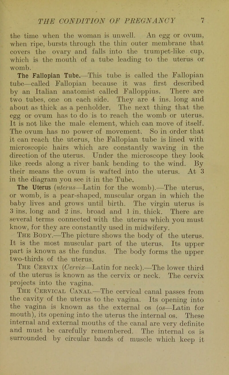 the time when the woman is unwell. An egg or OAUim, when ripe, bursts tlu’ough the thin outer' membrane that covers the ovary and falls into the trumpet-like cup, Avhich is the mouth of a tube leading to the uterus or Avomb. The Fallopian Tube.—This tube is called the Fallopian tube—called Fallopian because it Avas first described by an Italian anatomist called Falloppius. There are tAvo tubes, one on each side. They are 4 ins. long and about as thick as a penholder. The next thing that the egg or oAmm has to do is to reach the Avomb or uterus. It is not like the male element, Avliich can move of itself. The ovum has no poAver of movement. So in order that it can reach the uterus, the Fallopian tube is lined Avith microscopic hairs AAdiich are constantly Avaving in the direction of the uterus. Under the microscope they look like reeds along a river bank bending to the Avind. By their means the ovum is Avafted into the uterus. At 3 in the diagram you see it in the Tube. The Uterus {uterus—Latin for the Avoinb).—The uterus, or Avomb, is a pear-shaped, muscular organ in Avhich the baby lives and groAvs until birth. The virgin uterus is 3 ins. long and 2 ins. broad and 1 in. thick. There are several terms connected Avith the uterus Avhich you must know, for they are constantly used in midAvifery. The Body.—The picture shows the body of the uterus. It is the most muscular part of the uterus. Its upper part is knoAvn as the fundus. The body forms the upper tAvo-thirds of the uterus. The Cervix {Cervix—Latin for neck).—The lower third of the uterus is knoAvn as the cervix or neck. The cervix projects into the vagina. The Cervical Canal.—The cervical canal passes from the cavity of the uterus to the vagina. Its opening into the vagina is knoAvn as the external os {os—Latin for mouth), its opening into the uterus the internal os. These internal and external mouths of the canal are very definite and must be carefully remembered. The internal os is surrounded by circular bands of muscle Avhich keep it