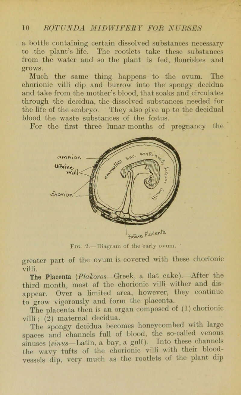 a bottle containing certain dissolved substances necessary to the plant’s life. The rootlets take these substances from the water and so the plant is fed, flourishes and grows. Much the' same thing happens to the ovum. The chorionic villi dip and burrow into the spongy decidua and take from the mother’s blood, that soaks and circulates through the decidua, the dissolved substances needed for the life of the embryo. They also give up to the decidual blood the waste substances of the foetus. For the first three lunar-months of pregnancy the greater part of the ovum is covered with these chorionic villi. The Placenta {Plakoros—Greek, a flat cake).—After the third month, most of the chorionic villi wither and dis- appear. Over a hmited area, however, they continue to grow vigorously and form the placenta. The placenta then is an organ composed of (1) chorionic villi ; (2) maternal decidua. The spongy decidua becomes honeycombed Avith large spaces and channels full of blood, the so-called venous sinuses (sinus—Latin, a bay, a gulf). Into these channels the wavy tufts of the chorionic villi with their blood- vessels dip, very much as the rootlets of the plant dip