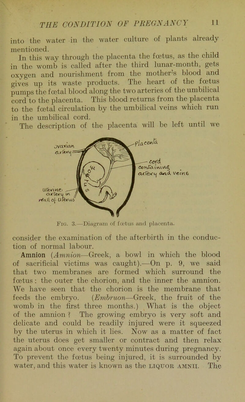 into the water in the water culture of jslants already mentioned. Ill this Wciy through the jilaceiita the footus, as the child in the womb is called after the third lunar-month, gets oxygen and nourishment from the mother's blood and gives up its waste products. The heart of the foetus pumps the foetal blood along the two arteries of the umbilical cord to the placenta. This blood returns from the placenta to the foetal circulation by the umbilical veins which run in the umbihcal cord. The description of the placenta will be left until we Fig. 3.—Ditigram of foetus and placenta. consider the examination of the afterbirth in the conduc- tion of normal labour. Amnion {Amnion—Greek, a bowl in which the blood of sacrificial victims was caught).—On p. 9, we said that two membranes are formed which surround the foetus: the outer the chorion, and the inner the amnion. We have seen that the chorion is the membrane that feeds the embryo. {Embruon—Greek, the fruit of the womb in the first three months.) ^Wliat is the object of the amnion 1 The growing embryo is very soft and dehcate and could be readily injured were it squeezed by the uterus in which it lies. Now as a matter of fact the uterus does get smaller or contract and then relax again about once every twenty minutes during pregnancy. To prevent the foetus being injured, it is surrounded by water, and this water is known as the liquor amnii. The