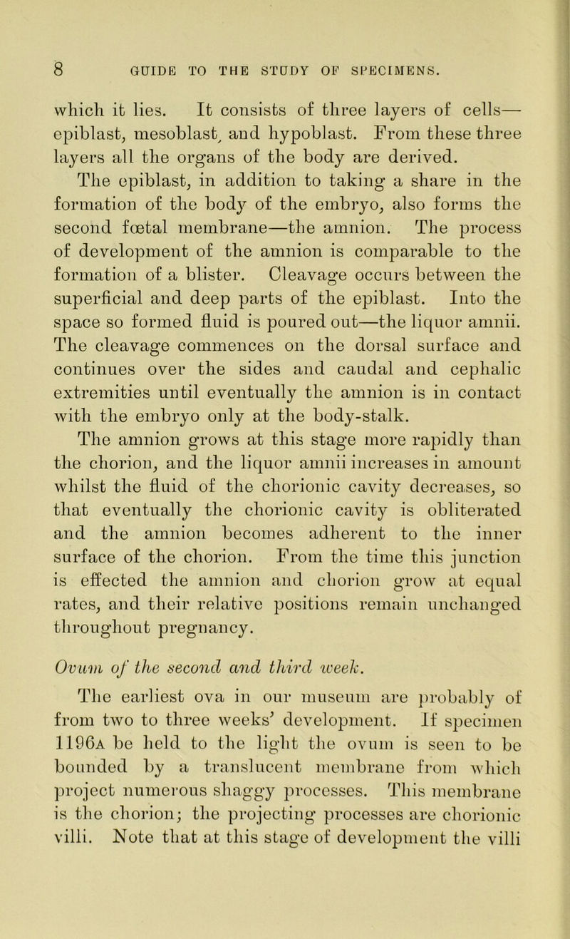 which it lies. It consists of three layers of cells— epiblast, mesoblast, and hypoblast. From these three layers all the organs of the body are derived. The epiblast, in addition to taking a share in the formation of the body of the embryo, also forms the second foetal membrane—the amnion. The process of development of the amnion is comparable to the formation of a blister. Cleavage occurs between the superficial and deep parts of the epiblast. Into the space so formed fluid is poured out—the liquor amnii. The cleavage commences on the dorsal surface and continues over the sides and caudal and cephalic extremities until eventually the amnion is in contact with the embryo only at the body-stalk. The amnion grows at this stage more rapidly than the chorion, and the liquor amnii increases in amount whilst the fluid of the chorionic cavity decreases, so that eventually the chorionic cavity is obliterated and the amnion becomes adherent to the inner surface of the chorion. From the time this junction is effected the amnion and chorion grow at equal rates, and their relative positions remain unchanged throughout pregnancy. Ovum of the second and third iveek. The earliest ova in our museum are probably of from two to three weeks’ development. If specimen 1196a be held to the light the ovum is seen to be bounded by a translucent membrane from which project numerous shaggy processes. This membrane is the chorion; the projecting processes are chorionic villi. Note that at this stage of development the villi