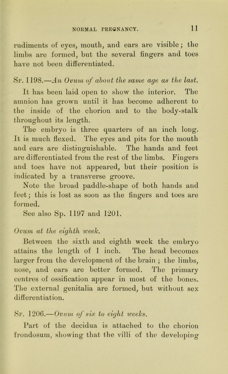 rudiments of eyes, mouth, and ears are visible ; the limbs are formed, but the several fingers and toes have not been differentiated. Sp. 1198.—An Ovum of about the same age as the last. It has been laid open to show the interior. The amnion has grown until it has become adherent to the inside of the chorion and to the body-stalk throughout its length. O O The embryo is three quarters of an inch long. It is much flexed. The eyes and pits for the mouth and ears are distinguishable. The hands and feet are differentiated from the rest of the limbs. Fingers and toes have not appeared, but their position is indicated by a transverse groove. Note the broad paddle-sliape of both hands and feet; this is lost as soon as the fingers and toes are formed. See also Sp. 1197 and 1201. Ovum at the eighth week. Between the sixth and eighth week the embryo attains the length of 1 inch. The head becomes larger from the development of the brain ; the limbs, nose, and ears are better formed. The primary centres of ossification appear in most of the bones. The external genitalia are formed, but without sex differentiation. Sp. 1206.—Ovum of six to eight weeks. Part of the decidua is attached to the chorion frondosum, showing that the villi of the developing