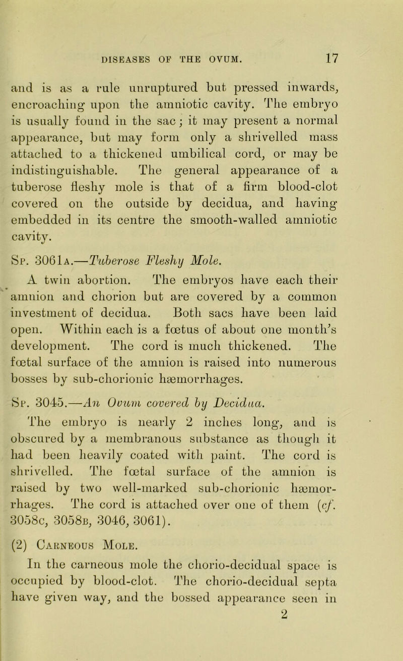 and is as a rule unruptured but pressed inwards, encroaching upon the amniotic cavity. The embryo is usually found in the sac; it may present a normal appearance, but may form only a shrivelled mass attached to a thickened umbilical cord, or may be indistinguishable. The general appearance of a tuberose fleshy mole is that of a firm blood-clot covered on the outside by decidua, and having embedded in its centre the smooth-walled amniotic cavity. Sp. 3061a.—Tuberose Fleshy Mole. A twin abortion. The embryos have each their amnion and chorion but are covered by a common investment of decidua. Both sacs have been laid open. Within each is a foetus of about one month's development. The cord is much thickened. The foetal surface of the amnion is raised into numerous bosses by sub-chorionic haemorrhages. Sp. 3045.—An Ovum covered by Decidua. The embryo is nearly 2 inches long, and is obscured by a membranous substance as though it had been heavily coated with paint. The cord is shrivelled. The foetal surface of the amnion is raised by two well-marked sub-chorionic haemor- rhages. The cord is attached over one of them (cf. 3058c, 3058b, 3046, 3061). (2) Carneous Mole. In the carneous mole the chorio-decidual space is occupied by blood-clot. The chorio-decidual septa have given way, and the bossed appearance seen in 2