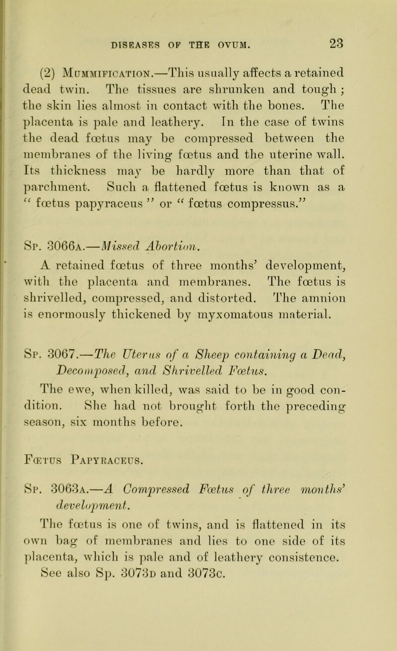 (2) Mummification.—This usually affects a retained dead twin. The tissues are shrunken and tough ; the skin lies almost in contact with the bones. The placenta is pale and leathery. In the case of twins the dead foetus may be compressed between the membranes of the living foetus and the uterine wall. Its thickness may be hardly more than that of parchment. Such a flattened foetus is known as a foetus papyraceus ” or “ foetus compressus.” Sp. 3066a.—Missed Abortion. A retained foetus of three months* development, with the placenta and membranes. The foetus is shrivelled, compressed, and distorted. The amnion is enormously thickened by myxomatous material. Sp. 3067.—The Uterus of a Sheep containing a Dead, Decomposed, and Shrivelled Foetus. The ewe, when killed, was said to be in good con- dition. She had not brought forth the preceding season, six months before. Fcetus Papyraceus. Sp. 3063a.—A Compressed Fcetus of three months’ development. The foetus is one of twins, and is flattened in its own bag of membranes and lies to one side of its placenta, which is pale and of leathery consistence. See also Sp. 3073d and 3073c.