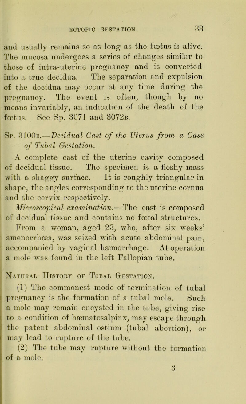 and usually remains so as long as the foetus is alive. The mucosa undergoes a series of changes similar to those of intra-uterine pregnancy and is converted into a true decidua. The separation and expulsion of the decidua may occur at any time during the pregnancy. The event is often, though by no means invariably, an indication of the death of the foetus. See Sp. 3071 and 3072b. Sp. 3100b.—Decidual Cast of the TJterus from a Case of Tubal Gestation. A complete cast of the uterine cavity composed of decidual tissue. The specimen is a fleshy mass with a shaggy surface. It is roughly triangular in shape, the angles corresponding to the uterine cornua and the cervix respectively. Microscopical examination.—The cast is composed of decidual tissue and contains no foetal structures. From a woman, aged 23, who, after six weeks* amenorrhoea, was seized with acute abdominal pain, accompanied by vaginal haemorrhage. At operation a mole was found in the left Fallopian tube. Natural History op Tubal Gestation. (1) The commonest mode of termination of tubal pregnancy is the formation of a tubal mole. Such a mole may remain encysted in the tube, giving rise to a condition of haematosalpinx, may escape through the patent abdominal ostium (tubal abortion), or may lead to rupture of the tube. (2) The tube may rupture without the formation of a mole.