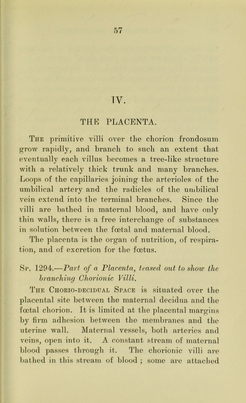 TV. THE PLACENTA. The primitive villi over the chorion frondosum grow rapidly, and branch to such an extent that eventually each villus becomes a tree-like structure with a relatively thick trunk and many branches. Loops of the capillaries joining the arterioles of the umbilical artery and the radicles of the umbilical vein extend into the terminal branches. Since the villi are bathed in maternal blood, and have only thin walls, there is a free interchange of substances in solution between the foetal and maternal blood. The placenta is the organ of nutrition, of respira- tion, and of excretion for the foetus. Sr. 1294.—Part of a Placenta, teased out to show the branching Chorionic Villi. The Chorio-dectdual Space is situated over the placental site between the maternal decidua and the foetal chorion. It is limited at the placental margins by firm adhesion between the membranes and the uterine wall. Maternal vessels, both arteries and veins, open into it. A constant stream of maternal blood passes through it. The chorionic villi are bathed in this stream of blood ; some are attached