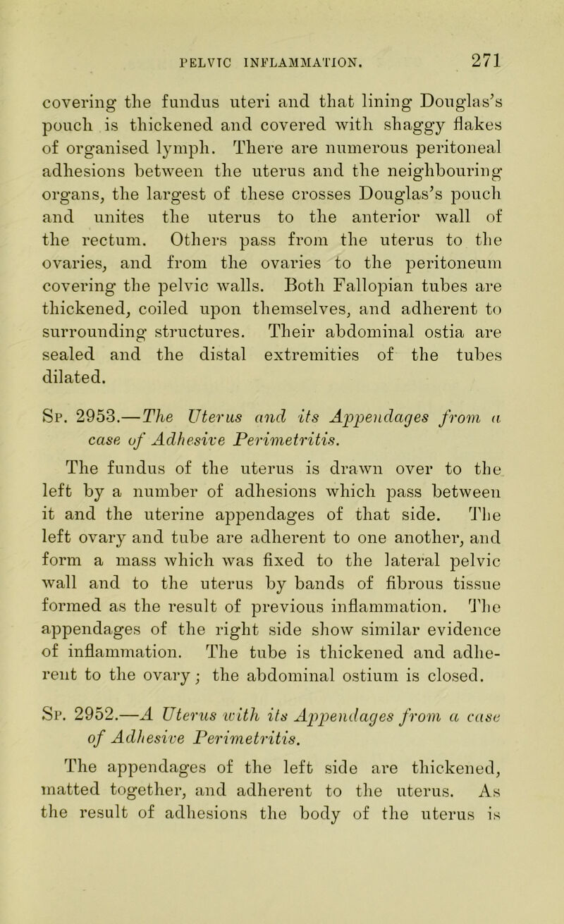 covering the fundus uteri and that lining Douglas’s pouch is thickened and covered with shaggy flakes of organised lymph. There are numerous peritoneal adhesions between the uterus and the neighbouring organs, the largest of these crosses Douglas’s pouch and unites the uterus to the anterior wall of the rectum. Others pass from the uterus to the ovaries, and from the ovaries to the peritoneum covering the pelvic walls. Both Fallopian tubes are thickened, coiled upon themselves, and adherent to surrounding structures. Their abdominal ostia are sealed and the distal extremities of the tubes dilated. Sp. 2953.—The Uterus and its Appendages from a case of Adhesive Perimetritis. The fundus of the uterus is drawn over to the left by a number of adhesions which pass between it and the uterine appendages of that side. The left ovary and tube are adherent to one another, and form a mass which was fixed to the lateral pelvic wall and to the uterus by bands of fibrous tissue formed as the result of previous inflammation. The appendages of the right side show similar evidence of inflammation. The tube is thickened and adhe- rent to the ovary; the abdominal ostium is closed. Sp. 2952.—A Uterus with its Appendages from a case of Adhesive Perimetritis. The appendages of the left side are thickened, matted together, and adherent to the uterus. As the result of adhesions the body of the uterus is