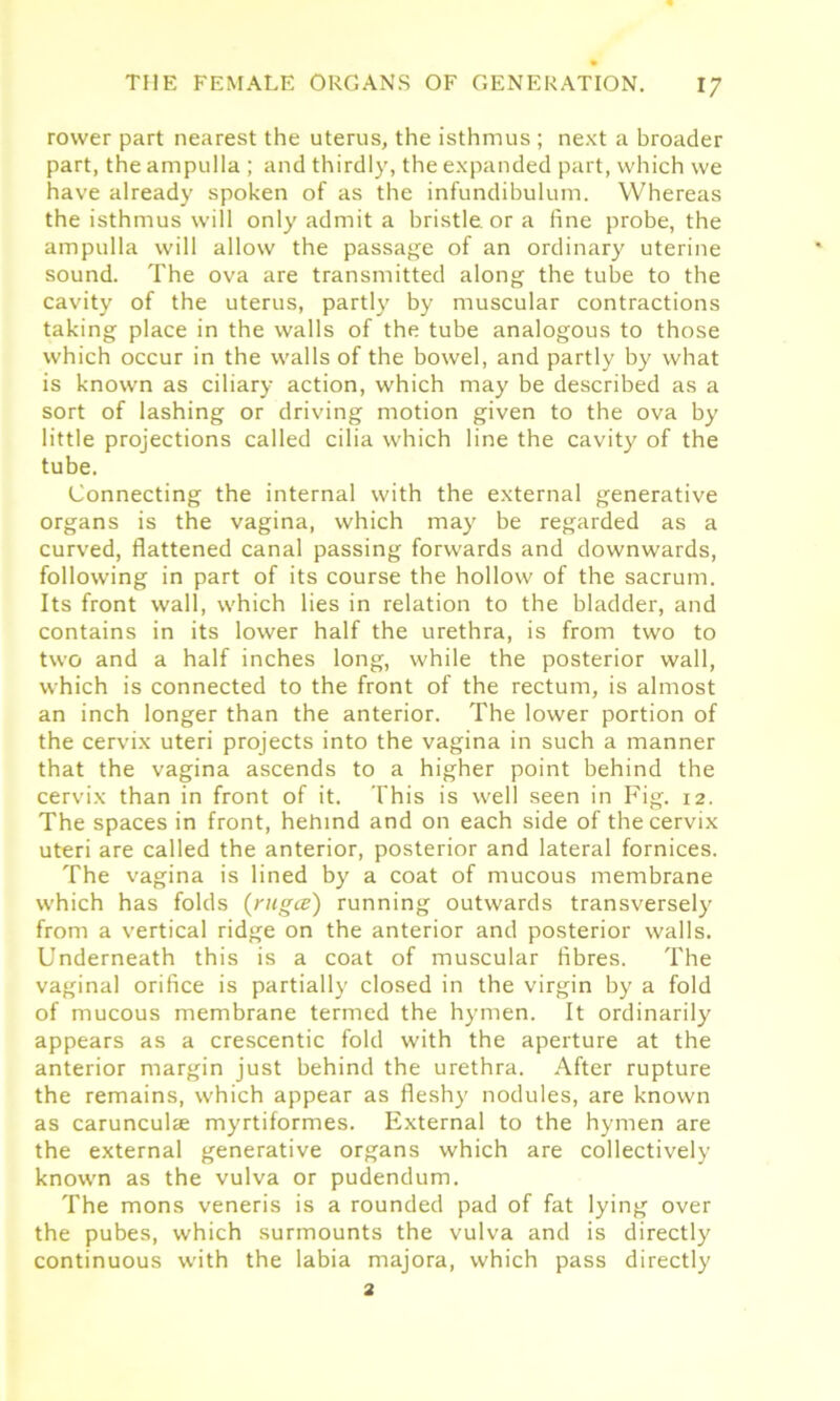 rower part nearest the uterus, the isthmus ; next a broader part, the ampulla ; and thirdly, the expanded part, which we have already spoken of as the infundibulum. Whereas the isthmus will only admit a bristle, or a fine probe, the ampulla will allow the passage of an ordinary uterine sound. The ova are transmitted along the tube to the cavity of the uterus, partly by muscular contractions taking place in the walls of the tube analogous to those which occur in the walls of the bowel, and partly by what is known as ciliary action, which may be described as a sort of lashing or driving motion given to the ova by little projections called cilia which line the cavity of the tube. Connecting the internal with the external generative organs is the vagina, which may be regarded as a curved, flattened canal passing forwards and downwards, following in part of its course the hollow of the sacrum. Its front wall, which lies in relation to the bladder, and contains in its lower half the urethra, is from two to two and a half inches long, while the posterior wall, which is connected to the front of the rectum, is almost an inch longer than the anterior. The lower portion of the cervix uteri projects into the vagina in such a manner that the vagina ascends to a higher point behind the cervix than in front of it. This is well seen in Fig. 12. The spaces in front, hebind and on each side of the cervix uteri are called the anterior, posterior and lateral fornices. The vagina is lined by a coat of mucous membrane which has folds (nigce) running outwards transversely from a vertical ridge on the anterior and posterior walls. Underneath this is a coat of muscular fibres. The vaginal orifice is partially closed in the virgin by a fold of mucous membrane termed the hymen. It ordinarily appears as a crescentic fold with the aperture at the anterior margin just behind the urethra. After rupture the remains, which appear as fleshy nodules, are known as carunculae myrtiformes. External to the hymen are the external generative organs which are collectively known as the vulva or pudendum. The mons veneris is a rounded pad of fat lying over the pubes, which surmounts the vulva and is directly continuous with the labia majora, which pass directly a