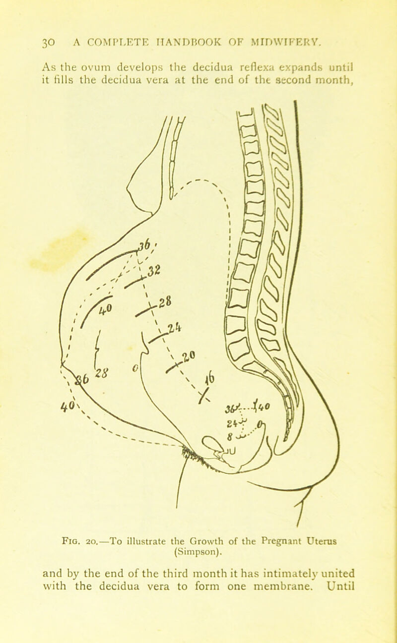 As the ovum develops the decidua refiexa expands until it fills the decidua vera at the end of the second month, Fig. 20.—To illustrate the Growth of the Pregnant Uterus (Simpson). and by the end of the third month it has intimately united with the decidua vera to form one membrane. Until