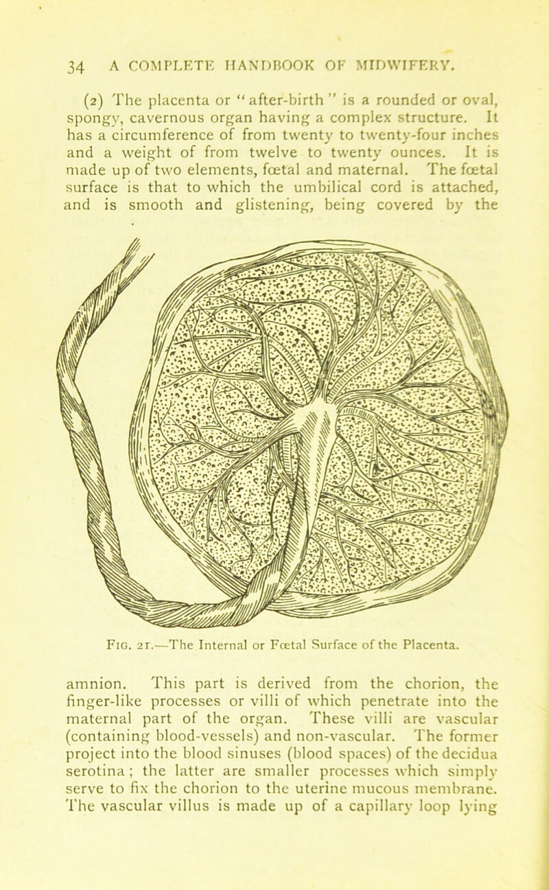 (2) The placenta or “ after-birth ” is a rounded or oval, spongy, cavernous organ having a complex structure. It has a circumference of from twenty to twenty-four inches and a weight of from twelve to twenty ounces. It is made up of two elements, foetal and maternal. The foetal surface is that to which the umbilical cord is attached, and is smooth and glistening, being covered by the Fig. 21.—The Internal or Fcetal Surface of the Placenta. amnion. This part is derived from the chorion, the finger-like processes or villi of which penetrate into the maternal part of the organ. These villi are vascular (containing blood-vessels) and non-vascular. The former project into the blood sinuses (blood spaces) of the decidua serotina; the latter are smaller processes which simply serve to fix the chorion to the uterine mucous membrane. The vascular villus is made up of a capillary loop lying