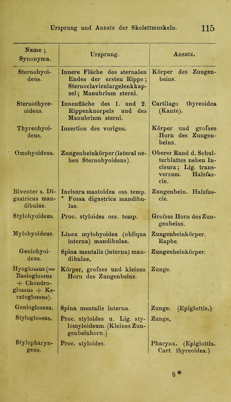 Name ; Synonyma. Ursprung. Ansatz, Sternobyoi- deus. Innere Fläche des sternalen Endes der ersten Kippe; Sternoclaviculargelenkkap- selj Manubrium sterni. Körper des Zungen- beins. Sternothyre- oideus. Innenfläche des 1. und 2. Rippenknorpels und des Manubrium sterni. Cartilago thyreoidea (Kante). Thyreohyoi- deus. Insertion des vorigen. Körper und grofses Horn des Zungen- beins. Omohyoideus. Zungenbeinkörper (lateral ne- ben Sternohyoideus). Oberer Rand d. Schul- terblattes neben In- cisura; Lig. trans- versum. Halsfas- cie. Biventer s. Di- gastricus man- dibuläe. Incisura mastoidea oss. temp. * Fossa digastrica mandibu- lae. Zungenbein. Halsfas- cie. Stylohyoideus. Proc. styloides oss. temp. Grofses Horn des Zun- genbeins. Mylohyoideus. Linea mylohyoidea (obliqua interna) mandibulae. Zungenbeinkörper. Raphe. Geniohyoi- deus. Spina mentalis (interna) man- dibulae. Zungenbeinkörper. Hyoglossus (== Basioglossus + Cbondro- glossus + Ke- ratoglossus). Körper, grofses und kleines Horn des Zungenbeins. Zunge. Genioglossus. Spina mentalis interna. Zunge. (Epiglottis.) Styloglossus, Proc. styloides u. Lig. sty- lomyloideum. (Kleines Zun- genbeinhorn.) Zunge. Stylopharyn- geus. Proc. styloides. Pharynx. (Epiglottis* Gart, thyreoidea.)