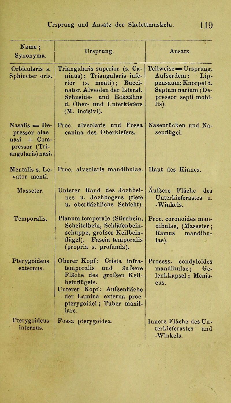 Name ; Synonyma. Ursprung. Ansatz. Orbicularis s. Sphincter oris. Triangularis Superior (s. Ca- ninus); Triangularis infe- rior (s. menti); Bucci- nator. Alveolen der lateral. Schneide- und Eckzähne d. Ober- und Unterkiefers (M. incisivi). Teilweise = Ursprung. Aufserdem: Lip- pensaum; Knorpel d. Septum narium (De- pressor septi mobi- lis). Nasalis = De- pressor alae nasi -1- Com- pressor (Tri- angularis) nasi. Proc. alveolaris und Fossa canina des Oberkiefers. Nasenrücken und Na- senflügel. Mentalis s. Le- vator menti. Proc. alveolaris mandibulae. Haut des Kinnes. Masseter, Unterer Rand des Jochbei- nes u. Jochbogens (tiefe u. oberflächliche Schicht). Äufsere Fläche des Unterkieferastes u. -Winkels. Temporalis. Planum temporale (Stirnbein, Scheitelbein, Schläfenbein- schuppe, grofser Keilbein- flügel). Fascia temporalis (propria s. profunda). Proc. coronoides man- dibulae, (Masseter; Ramus mandibu- lae). Pterygoideus externus. Oberer Kopf: Crista infra- temporalis und äufsere Fläche des grofsen Keil- beinflügels. Unterer Kopf: Aufsenfläche der Lamina externa proc. pterygoidei; Tuber maxil- lare. Process. condyloides mandibulae; Ge- lenkkapsel ; Menis- cus. Pterygoideus internus. Fossa pterygoidea. Innere Fläche des Un- terkieferastes und -Winkels.