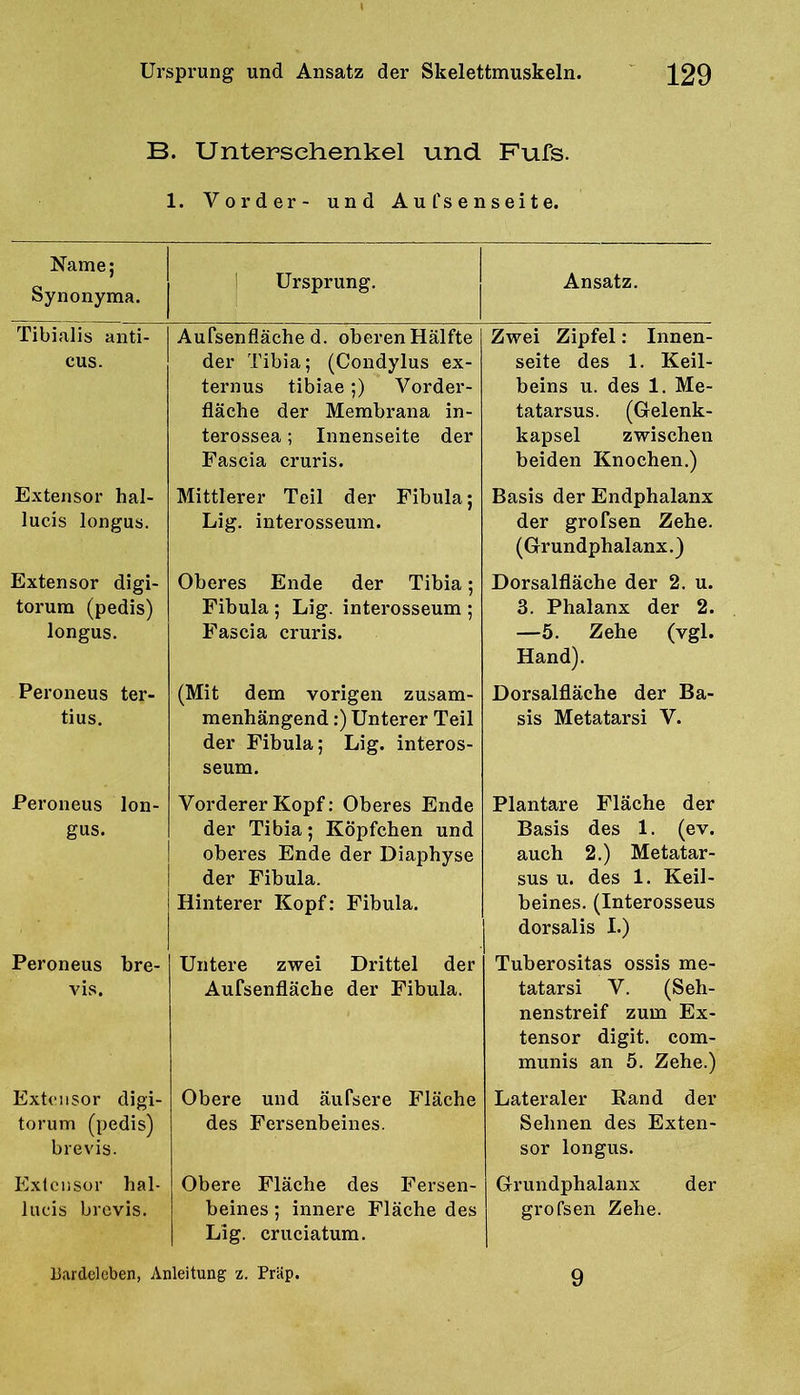 B. Unterschenkel und Fufs. 1. Vorder- und Aut'senseite. Name; Synonyma. ' Ursprung. j Ansatz. Tibialis anti- cus. Aufsenfläche d. oberen Hälfte der Tibia; (Condylus ex- ternus tibiae;) Vorder- fläche der Membrana in- terossea; Innenseite der Fascia cruris. Zwei Zipfel: Innen- seite des 1. Keil- beins u. des 1. Me- tatarsus. (Gelenk- kapsel zwischen beiden Knochen.) Extensor hal- lucis longus. Extensor digi- torum (pedis) longus. Peroneus ter- tius. Mittlerer Teil der Fibula; Lig. interosseum. Oberes Ende der Tibia; Fibula ; Lig. interosseum ; Fascia cruris. (Mit dem vorigen zusam- menhängend :) Unterer Teil der Fibula; Lig. interos- seum. Basis der Endphalanx der grofsen Zehe. (Grundphalanx.) Dorsalfläche der 2. u. 3. Phalanx der 2. —5. Zehe (vgl. Hand). Dorsalfläche der Ba- sis Metatarsi V. Peroneus lon- gus. Vorderer Kopf: Oberes Ende der Tibia; Köpfchen und oberes Ende der Diaphyse der Fibula. Hinterer Kopf: Fibula. Plantare Fläche der Basis des 1. (ev. auch 2.) Metatar- sus u. des 1. Keil- beines. (Interosseus dorsalis 1.) Peroneus bre- Ads. Untere zwei Drittel der Aufsenfläche der Fibula. Tuberositas ossis me- tatarsi V. (Seh- nenstreif zum Ex- tensor digit. com- munis an 5. Zehe.) Extcnsor digi- torum (pedis) brevis. Obere und äufsere Fläche des Fersenbeines. Lateraler Eand der Sehnen des Exten- sor longus. Exlciisor hal- lucis brevis. Obere Fläche des Fersen- beines ; innere Fläche des Lig. cruciatum. Grundphalanx der grofsen Zehe. liardclcben, Anleitung z. Präp. 9