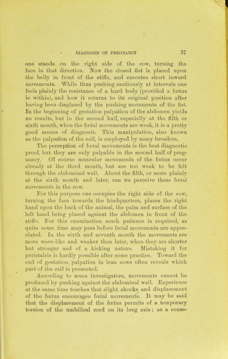 one stands on the right side of the cow, turning the face in that direction. Now the closed fist is placed upon the belly in front of the stifle, and executes short inward movements. While thus pushing cautiously at intervals one feels plainly the resistance of a hard body (provided a foetus is within), and how it returns to its original position after having been displaced by the pushing movements of 'the fist. In the beginning of gestation palpation of the abdomen yields no results, but in the second half, especially at the fifth or sixth month, when the foetal movements are weak, it is a pretty good means of diagnosis. This manipulation, also known as the palpation of the calf, is employed by many breeders. The perception of foetal movements is the best diagnostic proof, but they are only palpable in the second half of preg- nancy. Of course muscular movements of the foetus occur already at the third month, but are too weak to be felt through the abdominal wall. About the fifth, or more plainly at the sixth month and later, can we perceive these foetal movements in the cow. For this purpose one occupies the right side of the cow, turning the face towards the hindquarters, places the right hand upon the back of the animal, the palm and surface of the left hand being placed against the abdomen in front of the stifle. For this examination much patience is required, as quite some time may pass before foetal movements are appre- ciated. In the sixth and seventh month the movements are more wave-like and weaker than later, when they are shorter but stronger and of a kicking nature. Mistaking it for peristalsis is hardly possible after some practice. Toward the end of gestation, palpation in lean cows often reveals which part of the calf is presented. According to some investigators, movements cannot be produced by pushing against the abdominal wall. Experience at the same time teaches that slight shocks and displacement of the foetus encourages foetal movements. It may be said that the displacement of the foetus permits of a temporary torsion of the umbilical cord on its long axis ; as a conse-