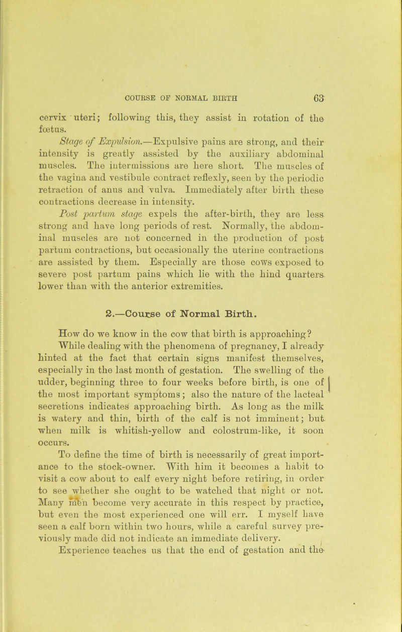 cervix uteri; following this, they assist in rotation of the foetus. Stage of Expulsion.—Expulsive pains are strong, and their intensity is greatly assisted by the auxiliary abdominal muscles. The intermissions are here short. The muscles of the vagina and vestibule contract reflexly, seen by the periodic retraction of anus and vulva. Immediately after birth these contractions decrease in intensity. Post partum stage expels the after-birth, they are less strong and have long periods of rest. Normally, the abdom- inal muscles are not concerned in the production of post partum contractions, but occasionally the uterine contractions are assisted by them. Especially are those cows exposed to severe post partum pains which lie with the hind quarters lower than with the anterior extremities. 2.—Course of Normal Birth. How do we know in the cow that birth is approaching? While dealing with the phenomena of pregnancy, I already hinted at the fact that certain signs manifest themselves, especially in the last month of gestation. The swelling of the udder, beginning three to four weeks before birth, is one of the most important symptoms; also the nature of the lacteal secretions indicates approaching birth. As long as the milk is watery and thin, birth of the calf is not imminent; but when milk is whitish-yellow and colostrum-like, it soon occurs. To define the time of birth is necessarily of great import- ance to the stock-owner. With him it becomes a habit to visit a cow about to calf every night before retiring, in order to see whether she ought to be watched that night or not. Many men become very accurate in this respect by practice, but even the most experienced one will err. I myself have seen a calf born within two hours, while a careful survey pre- viously made did not indicate an immediate delivery. Experience teaches us that the end of gestation and the