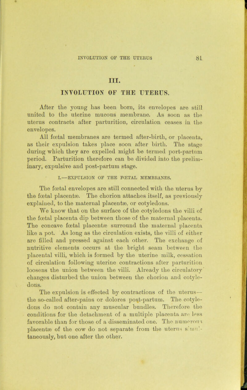 III. INVOLUTION OF THE UTERUS. After the young lias been born, its envelopes are still united to the uterine mucous membrane. As soon as the uterus contracts after parturition, circulation ceases in the envelopes. All foetal membranes are termed after-birth, or placenta, as their expulsion takes place soon after birth. The stage during which they are expelled might be termed port-partnm period. Parturition therefore can be divided into the prelim- inary, expulsive and post-partum stage. I.—EXPULSION OF THE FCETAL MEMBRANES. The foetal envelopes are still connected with the uterus by the foetal placentie. The chorion attaches itself, as previously explained, to the maternal placentae, or cotyledons. We know that on the surface of the cotyledons the villi of the foetal placenta dip between those of the maternal placenta. The concave foetal placentae surround the maternal placenta like a pot. As long as the circulation exists, the villi of either are filled and pressed against each other. The exchange of nutritive elements occurs at the bright seam between the placental villi, which is formed by the uterine milk, cessation of circulation following uterine contractions after parturition loosens the union between the villi. Already the circulatory changes disturbed the union between the chorion and cotyle- dons. The expulsion is effected by contractions of the uterus— the so-called after-pains or dolores po^t-partum. The cotyle- dons do not contain any muscular bundles. Therefore the conditions for the detachment of a multiple placenta are. less favorable than for those of a disseminated one. The numerous placent® of the cow do not separate from the uterus s inn!- taneously, but one after the other.