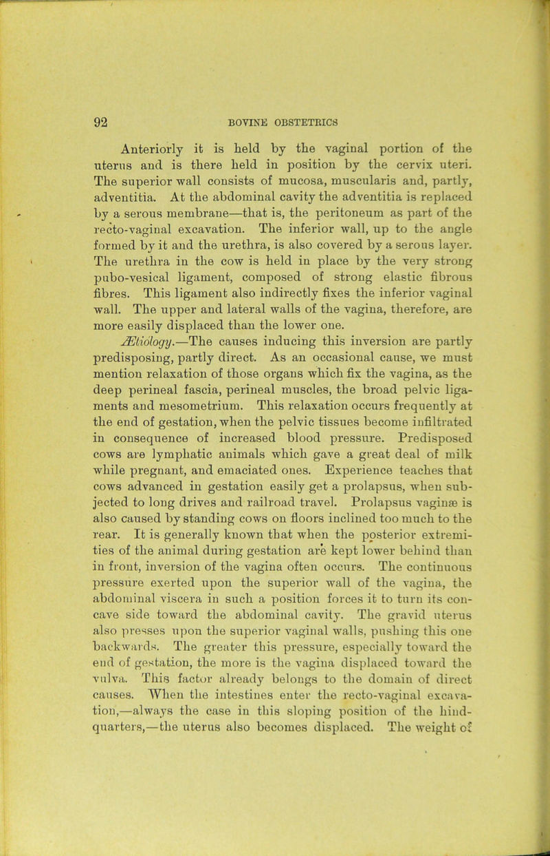 Anteriorly it is held by the vaginal portion of the uterus and is there held in position by the cervix uteri. The superior wall consists of mucosa, muscularis and, partly, adventitia. At the abdominal cavity the adventitia is replaced by a serous membrane—that is, the peritoneum as part of the recto-vaginal excavation. The inferior wall, up to the angle formed by it and the urethra, is also covered by a serous layer. The urethra in the cow is held in place by the very strong pnbo-vesical ligament, composed of strong elastic fibrous fibres. This ligament also indirectly fixes the inferior vaginal wall. The upper and lateral walls of the vagina, therefore, are more easily displaced than the lower one. JEtiology.—The causes inducing this inversion are partly predisposing, partly direct. As an occasional cause, we must mention relaxation of those organs which fix the vagina, as the deep perineal fascia, perineal muscles, the broad pelvic liga- ments and mesometrium. This relaxation occurs frequently at the end of gestation, when the pelvic tissues become infiltrated in consequence of increased blood pressure. Predisposed cows are lymphatic animals which gave a great deal of milk while pregnant, and emaciated ones. Experience teaches that cows advanced in gestation easily get a prolapsus, when sub- jected to long drives and railroad travel. Prolapsus vaginae is also caused by standing cows on floors inclined too much to the rear. It is generally known that when the posterior extremi- ties of the animal during gestation are kept lower behind than in front, inversion of the vagina often occurs. The continuous pressure exerted upon the superior wall of the vagina, the abdominal viscera in such a position forces it to turn its con- cave side toward the abdominal cavity. The gravid uterus also presses upon the superior vaginal walls, pushing this one backwards. The greater this pressure, especially toward the end of gestation, the more is the vagina displaced toward the vulva. This factor already belongs to the domain of direct causes. When the intestines enter the recto-vaginal excava- tion,—always the case in this sloping position of the hind- quarters,—the uterus also becomes displaced. The weight of