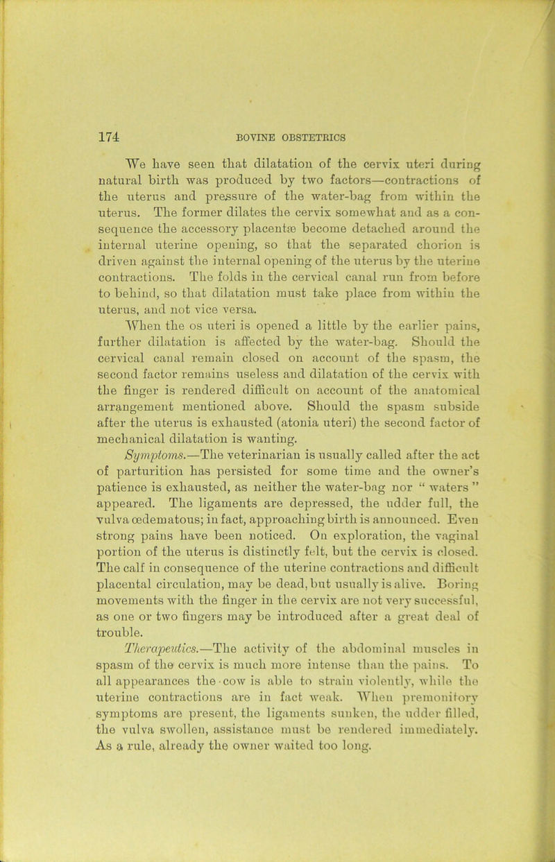 We have seen that dilatation of the cervix uteri during natural birth was produced by two factors—contractions of the uterus and pressure of the water-bag from within the uterus. The former dilates the cervix somewhat and as a con- sequence the accessory placentae become detached around the internal uterine opening, so that the separated chorion is driven against the internal opening of the uterus by the uterine contractions. The folds in the cervical canal run from before to behind, so that dilatation must take place from withiu the uterus, and not vice versa. When the os uteri is opened a little by the earlier pains, further dilatation is affected by the water-bag. Should the cervical canal remain closed on account of the spasm, the second factor remains useless and dilatation of the cervix with the finger is rendered difficult on account of the anatomical arrangement mentioned above. Should the spasm subside after the uterus is exhausted (atonia uteri) the second factor of mechanical dilatation is wanting. Symptoms.—The veterinarian is usually called after the act of parturition has persisted for some time and the owner’s patience is exhausted, as neither the water-bag nor “ waters ” appeared. The ligaments are depressed, the udder full, the vulva oedematous; in fact, approaching birth is announced. Even strong pains have been noticed. On exploration, the vaginal portion of the uterus is distinctly felt, but the cervix is closed. The call' in consequence of the uterine contractions and difficult placental circulation, may be dead, but usually is alive. Boring movements with the finger in the cervix are not very successful, as one or two fingers may be introduced after a great deal of trouble. Thercipieutics.—The activity of the abdominal muscles in spasm of the cervix is much more intense than the pains. To all appearances the cow is able to strain violently, while the uterine contractions are in fact weak. When premonitory symptoms are present, the ligaments sunken, the udder filled, the vulva swollen, assistance must be rendered immediately. As a rule, already the owner waited too long.