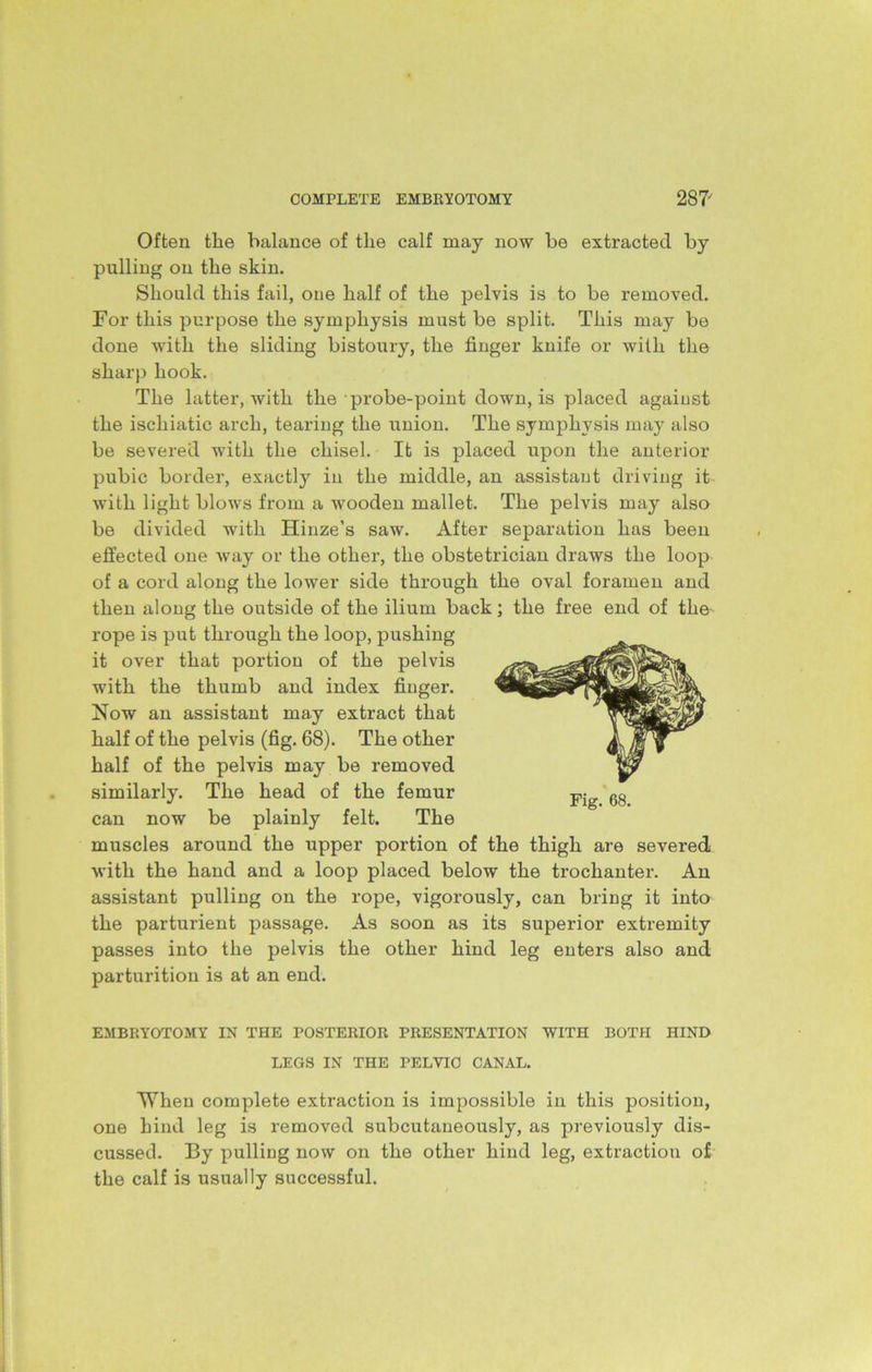 Often the balance of the calf may now be extracted, by pulling on the skin. Should this fail, one half of the pelvis is to be removed. For this purpose the symphysis must be split. This may be done with the sliding bistoury, the finger knife or with the sharp hook. The latter, with the probe-point down, is placed against the ischiatic arch, tearing the union. The symphysis may also be severed with the chisel. It is placed upon the anterior pubic border, exactly in the middle, an assistant driving it with light blows from a wooden mallet. The pelvis may also be divided with Hinze’s saw. After separation has been effected one way or the other, the obstetrician draws the loop of a cord along the lower side through the oval foramen and then along the outside of the ilium back; the free end of the- rope is put through the loop, pushing it over that portion of the pelvis with the thumb and index finger. Now an assistant may extract that half of the pelvis (fig. 68). The other half of the pelvis may be removed similarly. The head of the femur can now be plainly felt. The muscles around the upper portion of the thigh are severed with the hand and a loop placed below the trochanter. An assistant pulling on the rope, vigorously, can bring it into the parturient passage. As soon as its superior extremity passes into the pelvis the other hind leg enters also and parturition is at an end. EMBRYOTOMY IN THE POSTERIOR PRESENTATION WITH BOTH HIND LEGS IN THE PELVIC CANAL. When complete extraction is impossible in this position, one hind leg is removed subcutaneously, as previously dis- cussed. By pulling now on the other hind leg, extraction of the calf is usually successful.