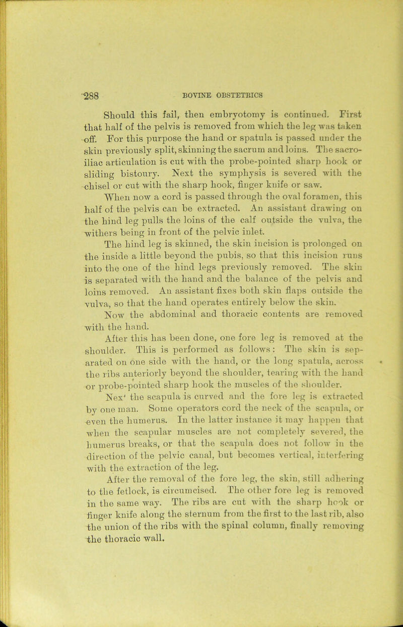 Should tliis fail, tlien embryotomy is continued. First that half of the pelvis is removed from which the leg was taken off. For this purpose the hand or spatula is passed under the skin previously split, skinning the sacrum and loins. The sacro- iliac articulation is cut with the probe-pointed sharp hook or sliding bistoury. Next the symphysis is severed with the chisel or cut with the sharp hook, finger knife or saw. When now a cord is passed through the oval foramen, this half of the pelvis can be extracted. An assistant drawing on the hind leg pulls the loins of the calf outside the vulva, the withers being in front of the pelvic inlet. The hind leg is skinned, the skin incision is prolonged on the inside a little beyond the pubis, so that this incision runs into the one of the hind legs previously removed. The skin is separated with the hand and the balance of the pelvis and loins removed. An assistant fixes both skin flaps outside the vulva, so that the hand operates entirely below the skin. Now the abdominal and thoracic contents are removed with the hand. After this has been done, one fore leg is removed at the shoulder. This is performed as follows : The skin is sep- arated on one side with the hand, or the long spatula, across the ribs anteriorly beyond the shoulder, tearing with the hand or probe-pointed sharp hook the muscles of the shoulder. Nex' the scapula is curved and the fore leg is extracted by one man. Some operators cord the neck of the scapula, or even the humerus. In the latter instance it may happen that when the scapular muscles are not completely severed, the humerus breaks, or that the scapula does not follow in the direction of the pelvic canal, but becomes vertical, interfering with the extraction of the leg. After the removal of the fore leg, the skin, still adhering to the fetlock, is circumcised. The other fore leg is removed in the same way. The ribs are cut with the sharp hook or finger knife along the sternum from the first to the last rib, also the union of the ribs with the spinal column, finally removing the thoracic wall.