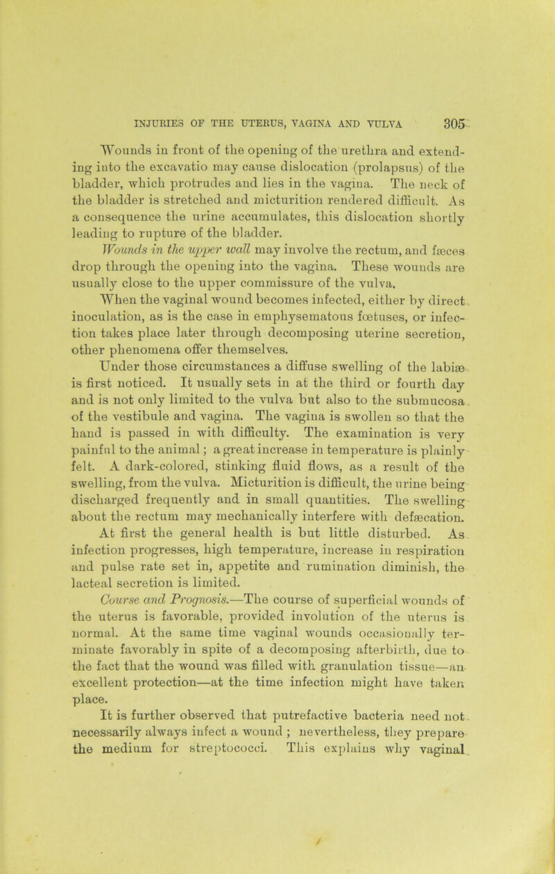 Wounds in front of tlie opening of the urethra and extend- ing into the excavatio may cause dislocation (prolapsus) of the bladder, which protrudes and lies in the vagina. The neck of the bladder is stretched and micturition rendered difficult. As a consequence the urine accumulates, this dislocation shortly leading to rupture of the bladder. Wounds in tlie upper iccdl may involve the rectum, and fieces drop through the opening into the vagina. These wounds are usually close to the upper commissure of the vulva. When the vaginal wound becomes infected, either by direct inoculation, as is the case in emphysematous foetuses, or infec- tion takes place later through decomposing uterine secretion, other phenomena offer themselves. Under those circumstances a diffuse swelling of the labise is first noticed. It usually sets in at the third or fourth day and is not only limited to the vulva but also to the submucosa of the vestibule and vagina. The vagina is swollen so that the hand is passed in with difficulty. The examination is very painful to the animal; a great increase in temperature is plainly felt. A dark-colored, stinking fluid flows, as a result of the swelling, from the vulva. Micturition is difficult, the urine being discharged frequently and in small quantities. The swelling about the rectum may mechanically interfere with defecation. At first the general health is but little disturbed. As infection progresses, high temperature, increase in respiration and pulse rate set in, appetite and rumination diminish, the lacteal secretion is limited. Course and Prognosis.—The course of superficial wounds of the uterus is favorable, provided involution of the uterus is normal. At the same time vaginal wounds occasionally ter- minate favorably in spite of a decomposing afterbirth, due to the fact that the wound was filled with granulation tissue—an excellent protection—at the time infection might have taken place. It is further observed that putrefactive bacteria need not necessarily always infect a wound ; nevertheless, they prepare the medium for streptococci. This explains why vaginal