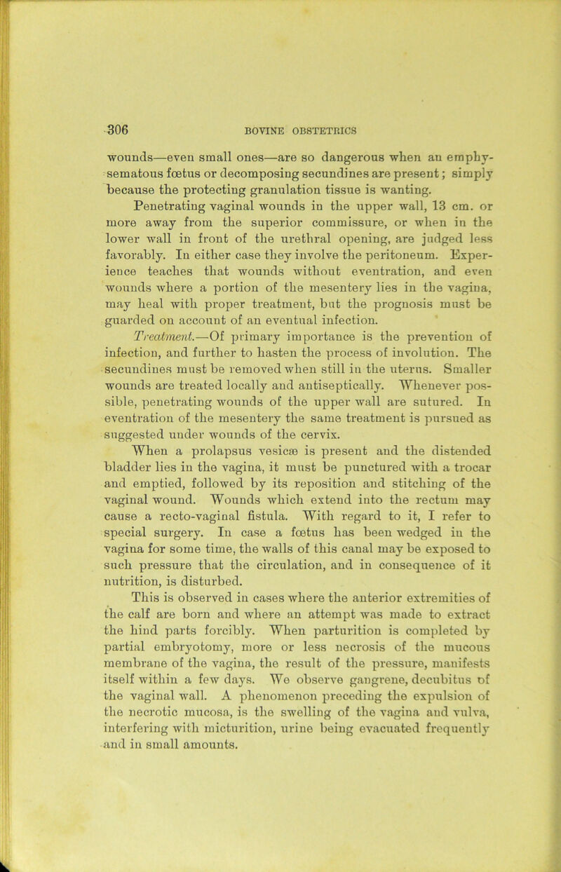 wounds—even small ones—are so dangerous when an emphy- sematous foetus or decomposing secundines are present; simply because the protecting granulation tissue is wanting. Penetrating vaginal wounds in the upper wall, 13 cm. or more away from the superior commissure, or when in the lower wall in front of the urethral opening, are judged less favorably. In either case they involve the peritoneum. Exper- ience teaches that wounds without eventration, and even wounds where a portion of the mesentery lies in the vagina, may heal with proper treatment, but the prognosis must be guarded on account of an eventual infection. Treatment.—Of primary importance is the prevention of infection, and further to hasten the process of involution. The secundines must be removed when still in the uterus. Smaller wounds are treated locally and antiseptically. Whenever pos- sible, penetrating wounds of the upper wall are sutured. In eventration of the mesentery the same treatment is pursued as suggested under wounds of the cervix. When a prolapsus vesicse is present and the distended bladder lies in the vagina, it must be punctured with a trocar and emptied, followed by its reposition and stitching of the vaginal wound. Wounds which extend into the rectum may cause a recto-vaginal fistula. With regard to it, I refer to special surgery. In case a foetus has been wedged in the vagina for some time, the walls of this canal may be exposed to such pressure that the circulation, and in consequence of it nutrition, is disturbed. This is observed in cases where the anterior extremities of the calf are born and where an attempt was made to extract the hind parts forcibly. When parturition is completed by partial embryotomy, more or less necrosis of the mucous membrane of the vagina, the result of the pressure, manifests itself within a few days. We observe gangrene, decubitus of the vaginal wall. A phenomenon preceding the expulsion of the necrotic mucosa, is the swelling of the vagina and vulva, interfering with micturition, urine being evacuated frequently and in small amounts.