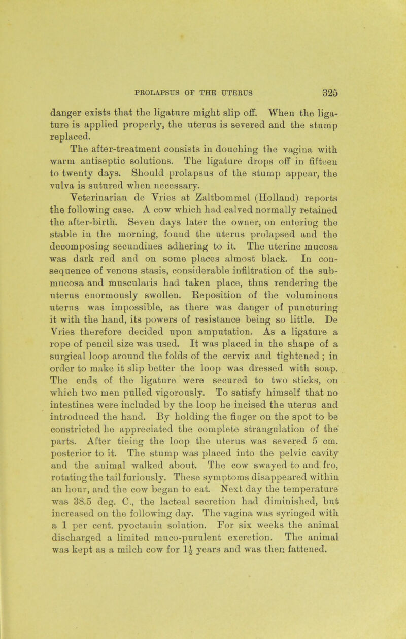 clanger exists that the ligature might slip off. When the liga- ture is applied properly, the uterus is severed and the stump replaced. The after-treatment consists in douching the vagina with warm antiseptic solutions. The ligature drops off in fifteen to twenty days. Should prolapsus of the stump appear, the vulva is sutured when necessary. Veterinarian de Vries at Zaltbommel (Holland) reports the following case. A cow which had calved normally retained the after-birtli. Seven days later the owner, on entering the stable in the morning, found the uterus prolapsed and the decomposing secundines adhering to it. The uterine mucosa was dark red and on some places almost black. In con- sequence of venous stasis, considerable infiltration of the sub- mucosa and muscularis had taken place, thus rendering the uterus enormously swollen. Reposition of the voluminous uterus was impossible, as there was danger of puncturing it with the hand, its powers of resistance being so little. De Vries therefore decided upon amputation. As a ligature a rope of pencil size was used. It was placed in the shape of a surgical loop around the folds of the cervix and tightened; in order to make it slip better the loop was dressed with soap. The ends of the ligature were secured to two sticks, on which two men pulled vigorously. To satisfy himself that no intestines were included by the loop he incised the uterus and introduced the hand. By holding the finger on the spot to be constricted he appreciated the complete strangulation of the parts. After tieing the loop the uterus was severed 5 cm. posterior to it. The stump was placed into the pelvic cavity and the animal walked about. The cow swayed to and fro, rotating the tail furiously. These symptoms disappeared within an hour, and the cow began to eat. Next day the temperature was 38.5 deg. C., the lacteal secretion had diminished, but increased on the following day. The vagina was syringed with a 1 per cent, pyoctanin solution. For six weeks the animal discharged a limited muco-purulent excretion. The animal was kept as a milch cow for 1}2 years and was then fattened.