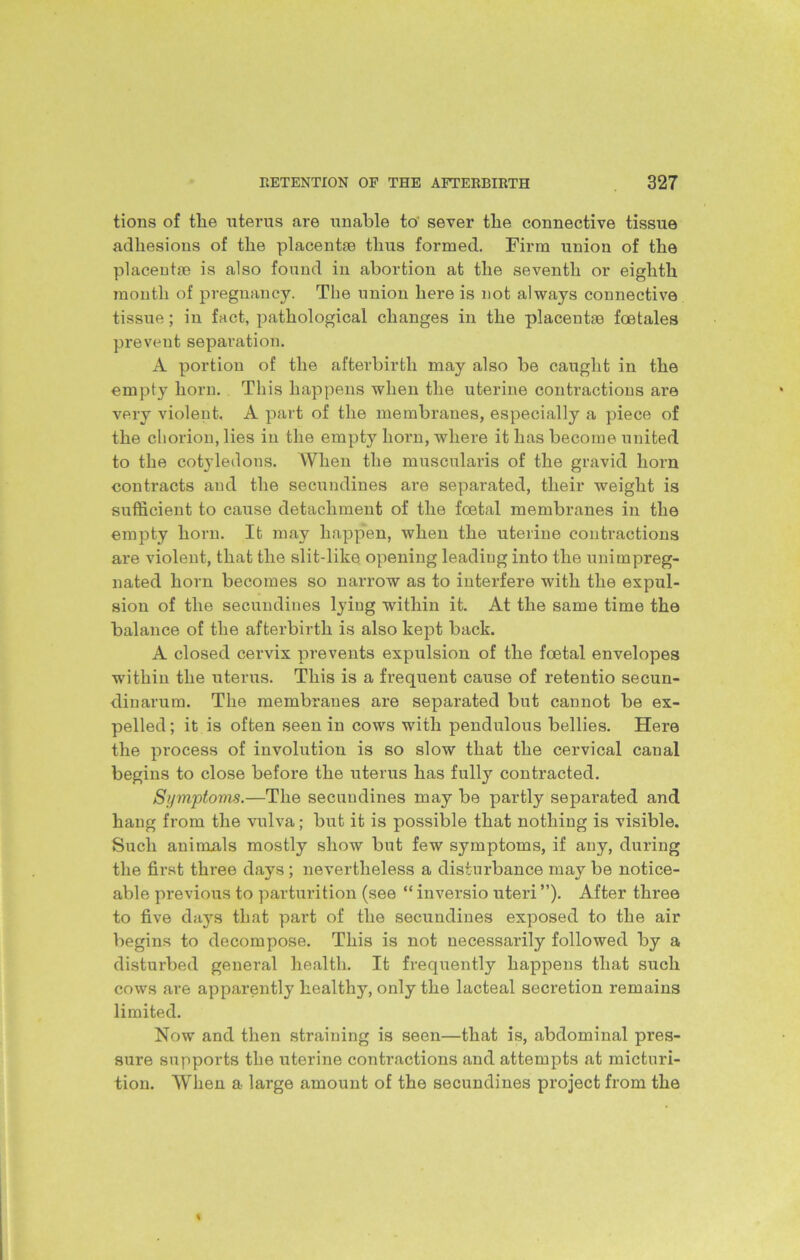 tions of the uterus are unable to' sever the connective tissue adhesions of the placentae thus formed. Firm union of the placentae is also found in abortion at the seventh or eighth month of pregnancy. The union here is not always connective tissue; in fact, pathological changes in the placentae foetales prevent separation. A portion of the afterbirth may also be caught in the empty horn. This happens when the uterine contractions are very violent. A part of the membranes, especially a piece of the chorion, lies in the empty horn, where it has become united to the cotyledons. When the muscularis of the gravid horn contracts and the secundines are separated, their weight is sufficient to cause detachment of the foetal membranes in the empty horn. It may happen, when the uterine contractions are violent, that the slit-like opening leading into the unimpreg- nated horn becomes so narrow as to interfere with the expul- sion of the secundines lying within it. At the same time the balance of the afterbirth is also kept back. A closed cervix prevents expulsion of the foetal envelopes within the uterus. This is a frequent cause of retentio secun- dinarum. The membranes are separated but cannot be ex- pelled ; it is often seen in cows with pendulous bellies. Here the process of involution is so slow that the cervical canal begins to close before the uterus has fully contracted. Symptoms.—The secundines may be partly separated and hang from the vulva; but it is possible that nothing is visible. Such animals mostly show but few symptoms, if any, during the first three days; nevertheless a disturbance may be notice- able previous to parturition (see “ inversio uteri ”). After three to five days that part of the secundines exposed to the air begins to decompose. This is not necessarily followed by a disturbed general health. It frequently happens that such cows are apparently healthy, only the lacteal secretion remains limited. Now and then straining is seen—that is, abdominal pres- sure supports the uterine contractions and attempts at micturi- tion. When a large amount of the secundines project from the