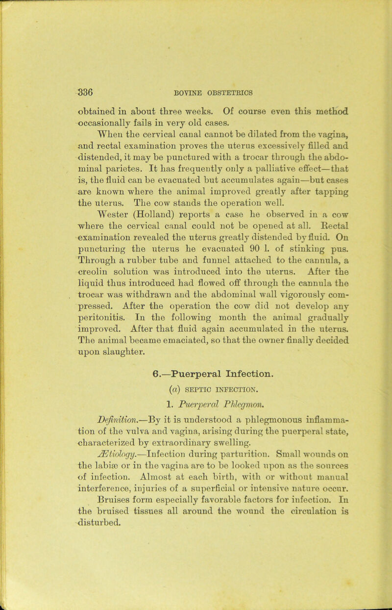 obtained in about three weeks. Of course even this method occasionally fails in very old cases. When the cervical canal cannot be dilated from the vagina, and rectal examination proves the uterus excessively filled and distended, it may be punctured with a trocar through the abdo- minal parietes. It has frequently only a palliative effect—that is, the fluid can be evacuated but accumulates again—but cases are known where the animal improved greatly after tapping the uterus. The cow stands the operation well. Wester (Holland) reports a case he observed in a cow where the cervical canal could not be opened at all. Rectal examination revealed the uterus greatly distended by fluid. On puncturing the uterus he evacuated 90 1. of stinking pus. Through a rubber tube and funnel attached to the cannula, a creolin solution was introduced into the uterus. After the liquid thus introduced had flowed off through the cannula the trocar was withdrawn and the abdominal wall vigorously com- pressed. After the operation the cow did not develop any peritonitis. In the following month the animal gradually improved. After that fluid again accumulated in the uterus. The animal became emaciated, so that the owner finally decided upon slaughter. 6.—Puerperal Infection. (a) SEPTIC INFECTION. 1. Puerperal Phlegmon. Definition.—By it is understood a phlegmonous inflamma- tion of the vulva and vagina, arising during the puerperal state, characterized by extraordinary swelling. JEtiology.—Infection during parturition. Small wounds on the labiso or in the vagina are to be looked upon as the sources of infection. Almost at each birth, with or without manual interference, injuries of a superficial or intensive nature occur. Bruises form especially favorable factors for infection. In the bruised tissues all around the wound the circulation is disturbed.