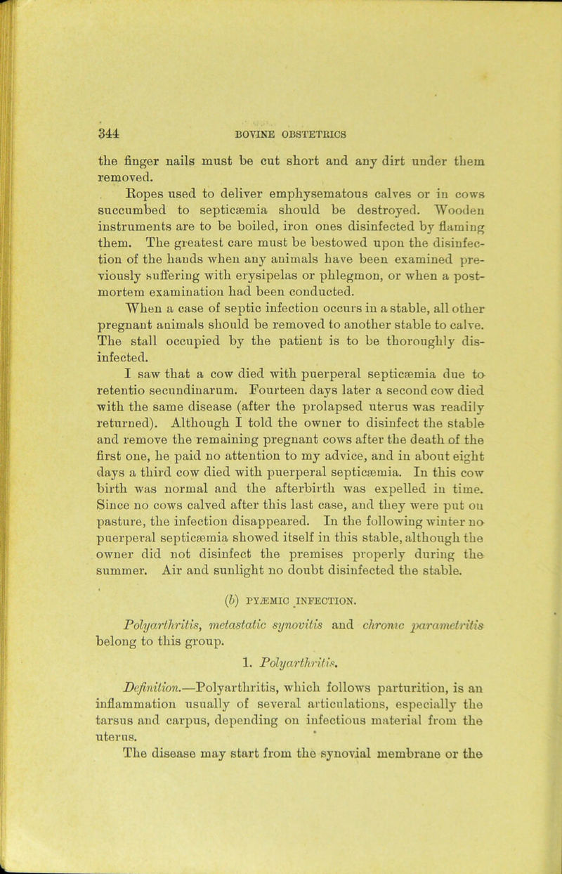 the finger nails must be cut short and any dirt under them removed. Ropes used to deliver emphysematous calves or in cows succumbed to septicaemia should be destroyed. Wooden instruments are to be boiled, iron ones disinfected by flaming them. The greatest care must be bestowed upon the disinfec- tion of the hands when any animals have been examined pre- viously suffering with erysipelas or phlegmon, or when a post- mortem examination had been conducted. When a case of septic infection occurs in a stable, all other pregnant animals should be removed to another stable to calve. The stall occupied by the patient is to be thoroughly dis- infected. I saw that a cow died with puerperal septicaemia due to retentio secundinarum. Fourteen days later a second cow died with the same disease (after the prolapsed uterus was readily returned). Although I told the owner to disinfect the stable and remove the remaining pregnant cows after the death of the first one, he paid no attention to my advice, and in about eight days a third cow died with puerperal septicaemia. In this cow birth was normal and the afterbirth was expelled in time. Since no cows calved after this last case, and they were put on pasture, the infection disappeared. In the following winter no puerperal septicaemia showed itself in this stable, although the owner did not disinfect the premises properly during the summer. Air and sunlight no doubt disinfected the stable. (b) TY2EMIC INFECTION. Polyarthritis, metastatic synovitis and chronic parametritis belong to this group. 1. Polyarthritis. Definition.—Polyarthritis, which follows parturition, is an inflammation usually of several articulations, especially the tarsus and carpus, depending on infectious material from the uterus. The disease may start from the synovial membrane or the