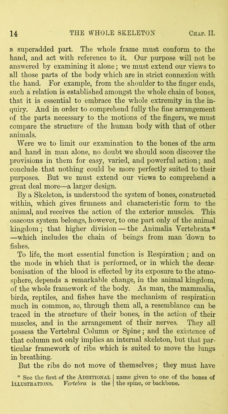 a. superadded part. The whole frame must conform to the hand, and act with reference to it. Our purpose will not be answered by examining it alone; we must extend our views to all those parts of the body which are in strict connexion with the hand. For example, from the shoulder to the finger ends, such a relation is established amongst the whole chain of bones, that it is essential to embrace the whole extremity in the in- quiry. And in order to comprehend fully the fine arrangement of the parts necessary to the motions of the fingers, we must compare the structure of the human body with that of other animals. Were we to limit our examination to the bones of the arm and hand in man alone, no doubt we should soon discover the provisions in them for easy, varied, and powerful action; and conclude that nothing could be more perfectly suited to their purposes. But we must extend our views to comprehend a great deal more—a larger design. By a Skeleton, is understood the system of bones, constructed within, which gives firmness and characteristic form to the animal, and receives the action of the exterior muscles. This osseous system belongs, however, to one part only of the animal kingdom; that higher division — the Animalia Vertebrata* —which includes the chain of beings from man 'down to fishes. To life, the most essential function is Respiration; and on the mode in which that is performed, or in which the decar- bonisation of the blood is effected by its exposure to the atmo- sphere, depends a remarkable change, in the animal kingdom, of the whole framework of the body. As man, the mammalia, birds, reptiles, and fishes have the mechanism of respiration much in common, so, through them all, a resemblance can be traced in the structure of their bones, in the action of their muscles, and in the arrangement of their nerves. They all possess the Vertebral Column or Spine; and the existence of that column not only implies an internal skeleton, but that par- ticular framework of ribs which is suited to move the lungs in breathing. But the ribs do not move of themselves; they must have * See the first of the Additional I name given to one of the hones of Illustrations. Vertebra is the | the spine, or backbone.