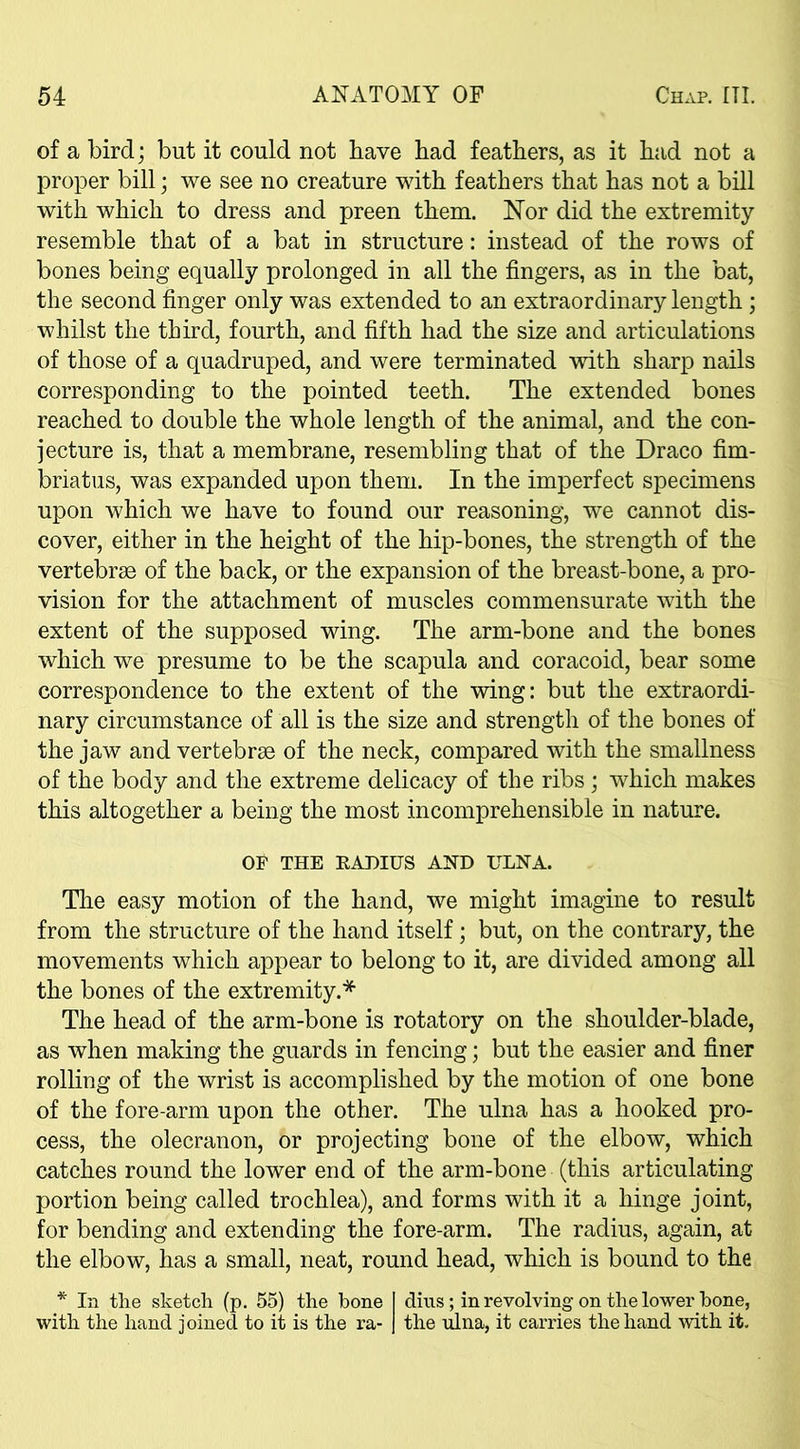 of a bird; but it could not have bad feathers, as it bad not a proper bill; we see no creature with feathers that has not a bill with which to dress and preen them. Nor did the extremity resemble that of a bat in structure: instead of the rows of bones being equally prolonged in all the fingers, as in the bat, the second finger only was extended to an extraordinary length; whilst the third, fourth, and fifth had the size and articulations of those of a quadruped, and were terminated with sharp nails corresponding to the pointed teeth. The extended bones reached to double the whole length of the animal, and the con- jecture is, that a membrane, resembling that of the Draco fim- briatus, was expanded upon them. In the imperfect specimens upon which we have to found our reasoning, we cannot dis- cover, either in the height of the hip-bones, the strength of the vertebrae of the back, or the expansion of the breast-bone, a pro- vision for the attachment of muscles commensurate with the extent of the supposed wing. The arm-bone and the bones which we presume to be the scapula and coracoid, bear some correspondence to the extent of the wing: but the extraordi- nary circumstance of all is the size and strength of the bones of the jaw and vertebrae of the neck, compared with the smallness of the body and the extreme delicacy of the ribs ; which makes this altogether a being the most incomprehensible in nature. OF THE RADIUS AND ULNA. The easy motion of the hand, we might imagine to result from the structure of the hand itself; but, on the contrary, the movements which appear to belong to it, are divided among all the bones of the extremity.* The head of the arm-bone is rotatory on the shoulder-blade, as when making the guards in fencing; but the easier and finer rolling of the wrist is accomplished by the motion of one bone of the fore-arm upon the other. The ulna has a hooked pro- cess, the olecranon, or projecting bone of the elbow, which catches round the lower end of the arm-bone (this articulating portion being called trochlea), and forms with it a hinge joint, for bending and extending the fore-arm. The radius, again, at the elbow, has a small, neat, round head, which is bound to the * In the sketch (p. 55) the bone I dins; in revolving on the lower hone, with the hand joined to it is the ra- J the ulna, it carries the hand with it.