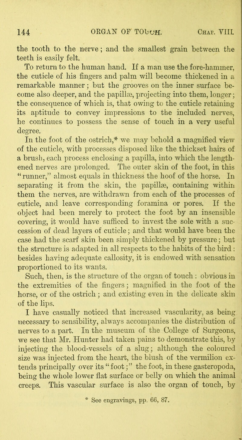 the tooth to the nerve; and the smallest grain between the teeth is easily felt. To return to the human hand. If a man use the fore-hammer, the cuticle of his fingers and palm will become thickened in a remarkable manner; but the grooves on the inner surface be- come also deeper, and the papillae, projecting into them, longer; the consequence of which is, that owing to the cuticle retaining its aptitude to convey impressions to the included nerves, he continues to possess the sense of touch in a very useful degree. In the foot of the ostrich,* we may behold a magnified view of the cuticle, with processes disposed like the thickset hairs of a brush, each process enclosing a papilla, into which the length- ened nerves are prolonged. The outer skin of the foot, in this “ runner,” almost equals in thickness the hoof of the horse. In separating it from the skin, the papillae, containing within them the nerves, are withdrawn from each of the processes of cuticle, and leave corresponding foramina or pores. If the object had been merely to protect the foot by an insensible covering, it would have sufficed to invest the sole with a suc- cession of dead layers of cuticle; and that would have been the case had the scarf skin been simply thickened by pressure: but the structure is adapted in all respects to the habits of the bird : besides having adequate callosity, it is endowed with sensation proportioned to its wants. Such, then, is the structure of the organ of touch : obvious in the extremities of the fingers; magnified in the foot of the horse, or of the ostrich; and existing even in the delicate skin of the lips. I have casually noticed that increased vascularity, as being necessary to sensibility, always accompanies the distribution of nerves to a part. In the museum of the College of Surgeons, we see that Mr. Hunter had taken pains to demonstrate this, by injecting the blood-vessels of a slug; although the coloured size was injected from the heart, the blush of the vermilion ex- tends principally over its “ foot;” the foot, in these gasteropoda, being the whole lower flat surface or belly on which the animal creeps. This vascular surface is also the organ of touch, by See engravings, pp. 66, 87.