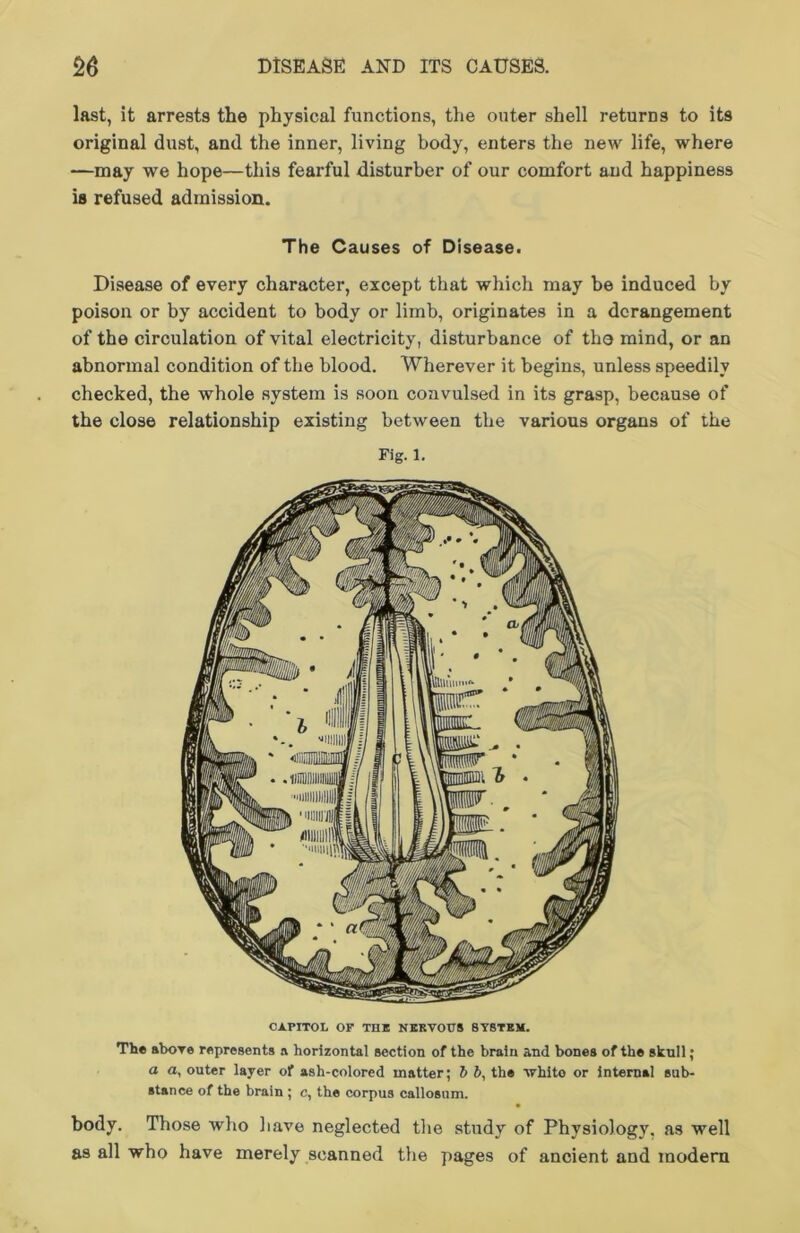 last, it arrests the physical functions, the outer shell returns to its original dust, and the inner, living body, enters the new life, where —may we hope—this fearful disturber of our comfort and happiness is refused admission. The Causes of Disease. Disease of every character, except that which may be induced by poison or by accident to body or limb, originates in a derangement of the circulation of vital electricity, disturbance of tho mind, or an abnormal condition of the blood. Wherever it begins, unless speedily checked, the whole system is soon convulsed in its grasp, because of the close relationship existing between the various organs of the Fig. 1. CAPITOL OF THE NERVOUS 8Y8TEM. The above represents a horizontal section of the brain and bones of the skull; a a, outer layer of ash-colored matter; ft ft, the white or internal sub- stance of the brain ; c, the corpus callosum. body. Those who have neglected the study of Physiology, as well as all who have merely scanned the pages of ancient and modern