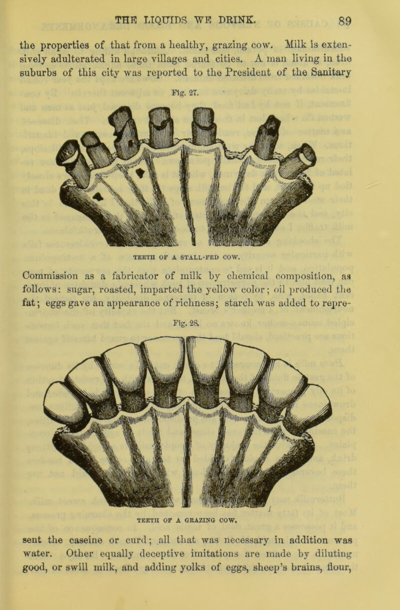 the properties of that from a healthy, grazing cow. Milk is exten- sively adulterated in large villages and cities. A man living in the suburbs of this city was reported to the President of the Sanitary Fig. 2T. TEETH OF A STALL-FED COW. Commission as a fabricator of milk by chemical composition, as follows: sugar, roasted, imparted the yellow color; oil produced the fat; eggs gave an appearance of richness; starch was added to repre- rig. 2a TEETH OF A GRAZING COW. sent the caseine or curd; all that was necessary in addition was water. Other equally deceptive imitations are made by diluting good, or swill milk, and adding yolks of eggs, sheep’s brains, flour,
