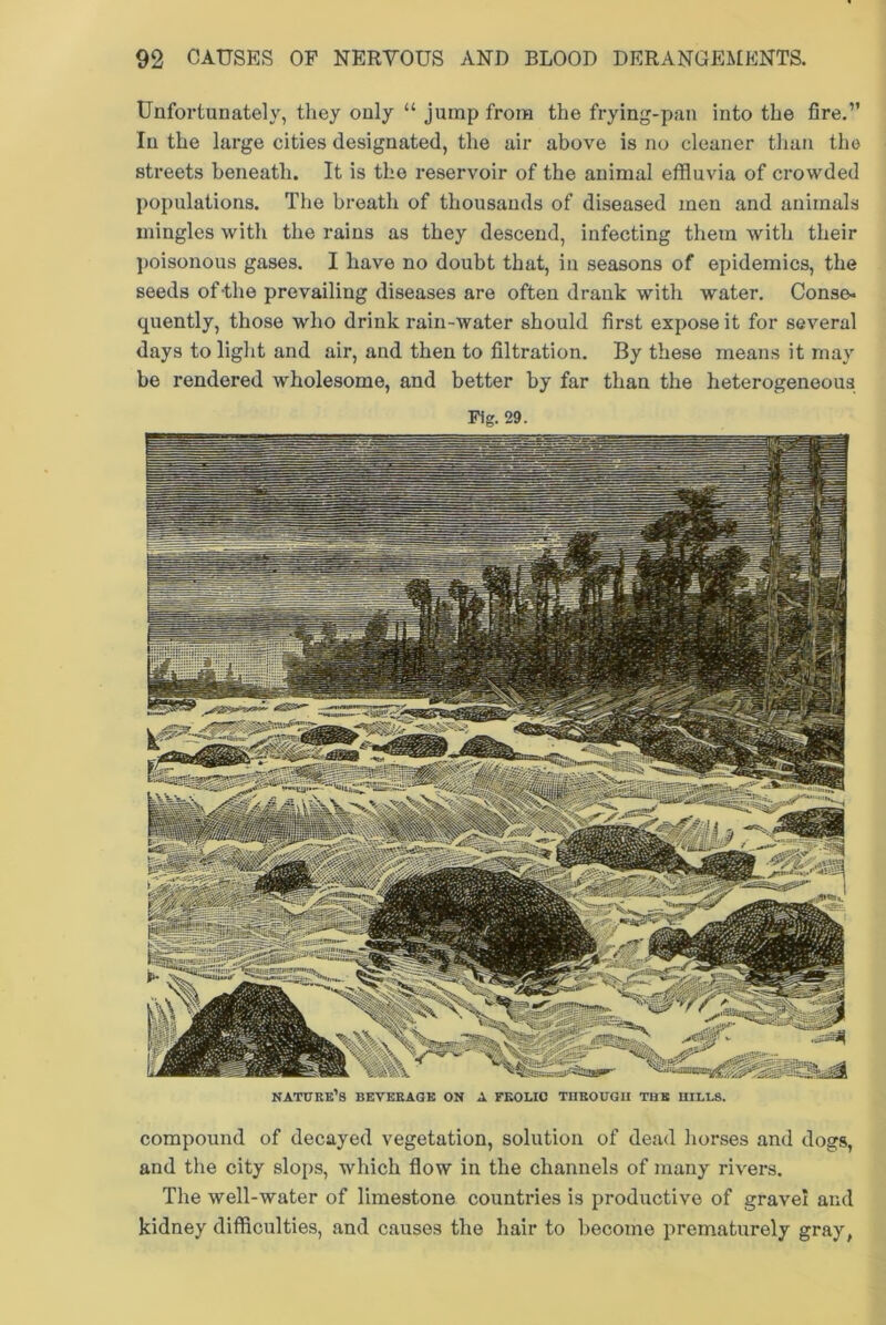 Unfortunately, they only “ jump from the frying-pan into the fire.” In the large cities designated, the air above is no cleaner than tho streets beneath. It is the reservoir of the animal effluvia of crowded populations. The breath of thousands of diseased men and animals mingles with the rains as they descend, infecting them with their poisonous gases. I have no doubt that, in seasons of epidemics, the seeds of-the prevailing diseases are often drank with water. Conse- quently, those who drink rain-water should first expose it for several days to light and air, and then to filtration. By these means it may be rendered wholesome, and better by far than the heterogeneous Fig. 29. nature’s beverage on a frolic through the hills. compound of decayed vegetation, solution of dead horses and dogs, and the city slops, which flow in the channels of many rivers. The well-water of limestone countries is productive of gravel and kidney difficulties, and causes the hair to become prematurely gray,