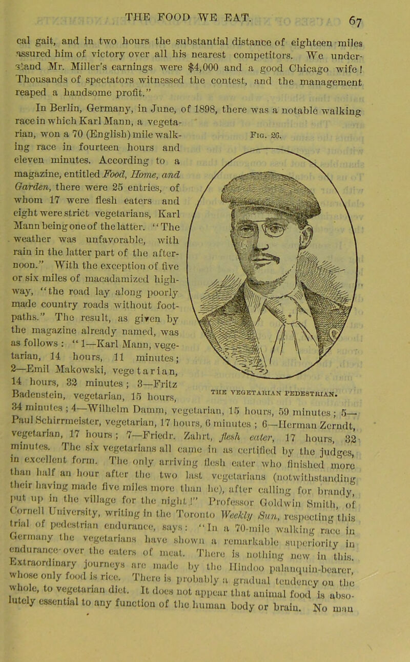 cal gait, and in two hours the substantial distance of eighteen miles assured him of victory over all his nearest competitors. We under- stand Mr. Miller’s earnings were $4,000 and a good Chicago wife ! Thousands of spectators witnessed the contest, and the management reaped a handsome profit.” In Berlin, Germany, in June, ( race in which Karl Mann, a vegeta- rian, won a 70 (English) mile walk- ing race in fourteen hours and eleven minutes. According to a magazine, entitled Food, Home, and Oarden, there were 25 entries, of whom 17 were flesh eaters and eight were strict vegetarians, Karl Mann being one of the latter. “The weather was unfavorable, with rain in the latter part of the after- noon.” With the exception of five or six miles of macadamized high- way, “the road lay along poorly made country roads without foot- paths.” The result, as given by the magazine already named, was as follows : “ 1—Karl Mann, vege- tarian, 14 hours, 11 minutes; 2—Emil Makowski, vege t a r i a n, 14 hours, 32 minutes; 3—Fritz 1898, there was a notable walking Fio. 20. Badenstein, vegetarian, 15 hours, THK VEGETAItIAN pedestrian. 34 minutes ; 4—Wilhelm Damm, vegetarian, 15 hours, 59 minutes ; 5— Paul Schirrmeistcr, vegetarian, 17 hours, 0 minutes ; 6—Herman Zerndt, vegetarian, 17 hours; 7—Friedr. Zahrt, fles?i eater, 17 hours, 32 minutes. The six vegetarians all came in as certified by the judges in excellent form. The only arriving flesh eater who finished more than half an hour after the two last vegetarians (notwithstanding their having made five miles more than he), after calling for brandy put up m the village for the night !” Professor Goldwin Smith of Cornell University, writing in the Toronto Weekly Sun, respecting this trial of pedestrian endurance, says: “In a 70-mile walking race in Jermany the vegetarians have shown a remarkable superiority iu endurance-over the eaters of meat. There is nothing new in this. Extraordinary journeys arc made by the Hindoo palanquin-bearer, whose only food is nee. There is probably a gradual tendency on the 'v hole, to vegetarian diet. It does not appear that animal food is abso- lutely essential to any function of the human body or brain. No man