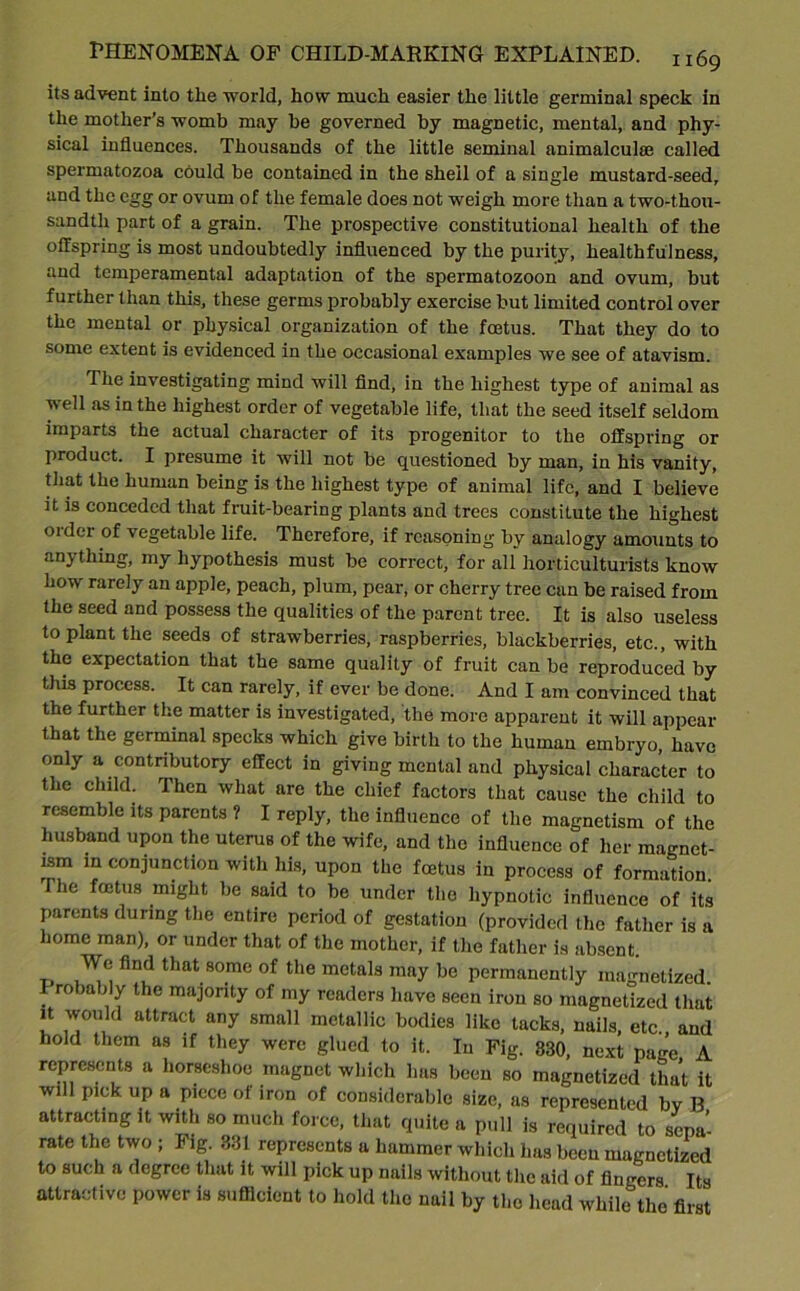 its advent into the world, how much easier the little germinal speck in the mother’s womb may be governed by magnetic, mental, and phy- sical influences. Thousands of the little seminal animalculae called spermatozoa could be contained in the shell of a single mustard-seed, and the egg or ovum of the female does not weigh more than a two-thou- sandth part of a grain. The prospective constitutional health of the offspring is most undoubtedly influenced by the purity, healthfulness, and temperamental adaptation of the spermatozoon and ovum, but further than this, these germs probably exercise but limited control over the mental or physical organization of the foetus. That they do to some extent is evidenced in the occasional examples we see of atavism. The investigating mind will find, in the highest type of animal as well as in the highest order of vegetable life, that the seed itself seldom imparts the actual character of its progenitor to the offspring or product. I presume it will not be questioned by man, in his vanity, that the human being is the highest type of animal life, and I believe it is conceded that fruit-bearing plants and trees constitute the highest order of vegetable life. Therefore, if reasoning by analogy amounts to anything, my hypothesis must be correct, for all horticulturists know how rarely an apple, peach, plum, pear, or cherry tree can be raised from the seed and possess the qualities of the parent tree. It is also useless to plant the seeds of strawberries, raspberries, blackberries, etc., with the expectation that the same quality of fruit can be reproduced by this process. It can rarely, if ever be done. And I am convinced that the further the matter is investigated, the more apparent it will appear that the germinal specks which give birth to the human embryo, have only a contributory effect in giving mental and physical character to the child. Then what are the chief factors that cause the child to resemble its parents ? I reply, the influence of the magnetism of the husband upon the uterus of the wife, and the influence of her magnet- lsm in conjunction with his, upon the fcetus in process of formation. he fcetus might be said to be under the hypnotic influence of its parents during the entire period of gestation (provided the father is a home man), or under that of the mother, if the father is absent. We find that some of the metals may be permanently magnetized. I robably the majority of my readers have seen iron so magnetized that it would attract any small metallic bodies like tacks, nails, etc and hold them as if they were glued to it. In Fig. 830, next page A represents a horseshoe magnet which has been so magnetized that it will pick up a piece of iron of considerable size, as represented bv B attracting it with so much force, that quite a pull is required to sepa- rate the two ; I1 lg. 831 represents a hammer which has been magnetized to such a degree that it will pick up nails without the aid of fingers Its attractive power is sufficient to hold the nail by the head while the first
